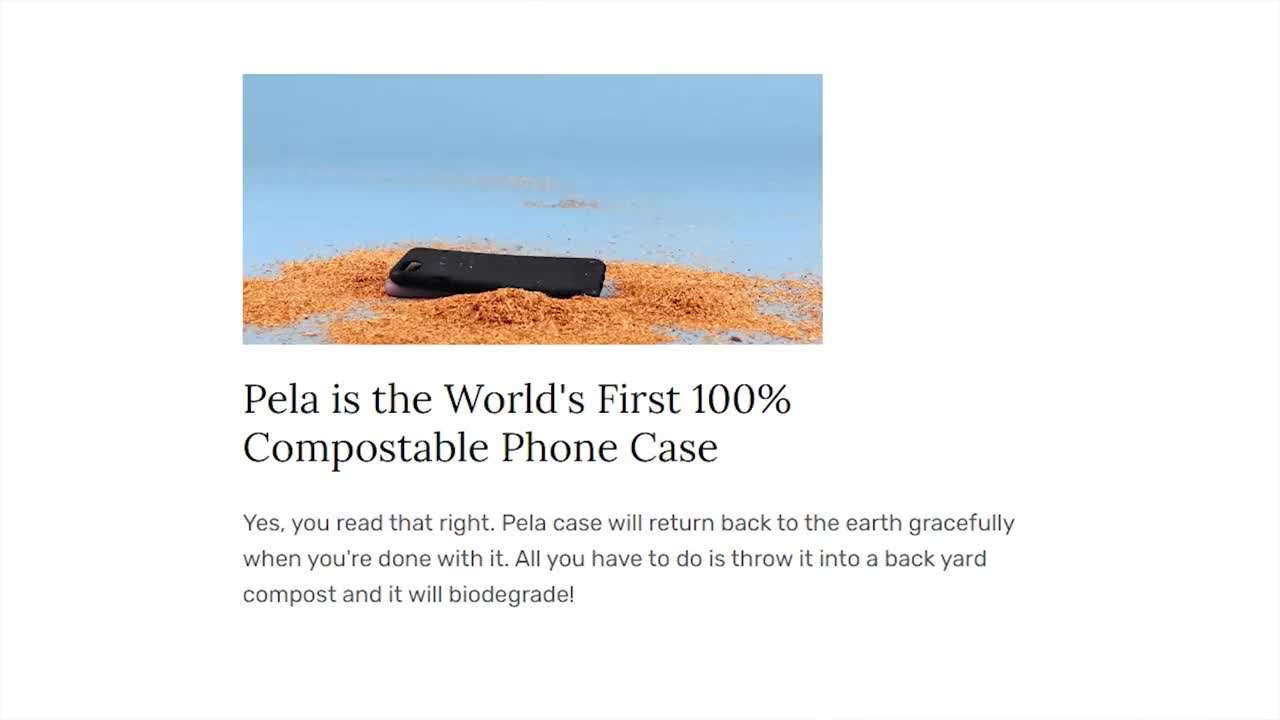 Iconic fashion trends of the indie sleaze era