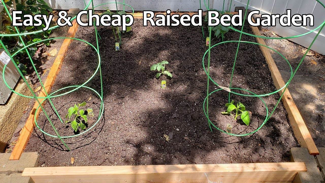 Cheap EZ DIY Raised Bed Garden - No Tools Needed