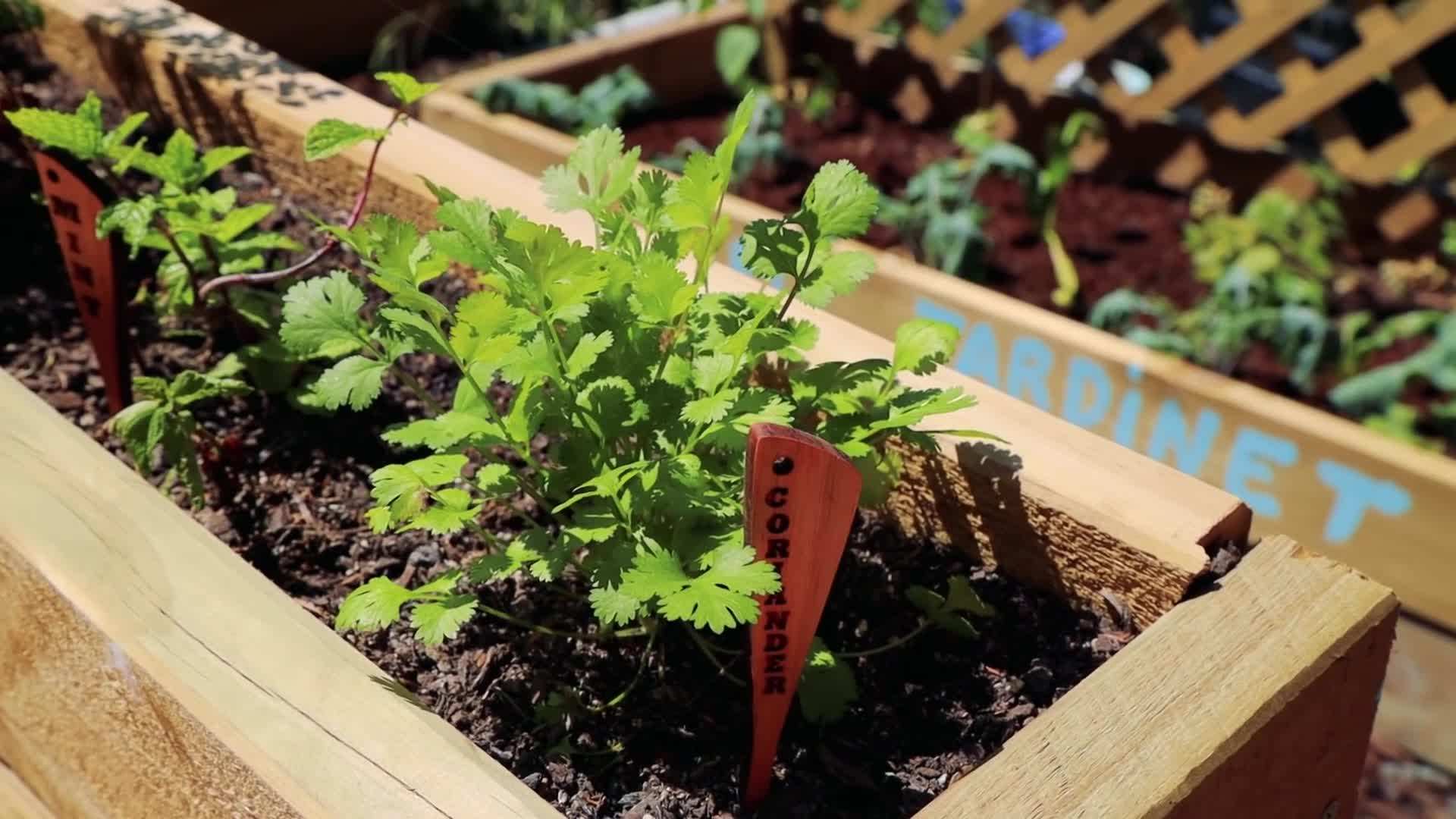 Clever storage solutions in the kitchen area