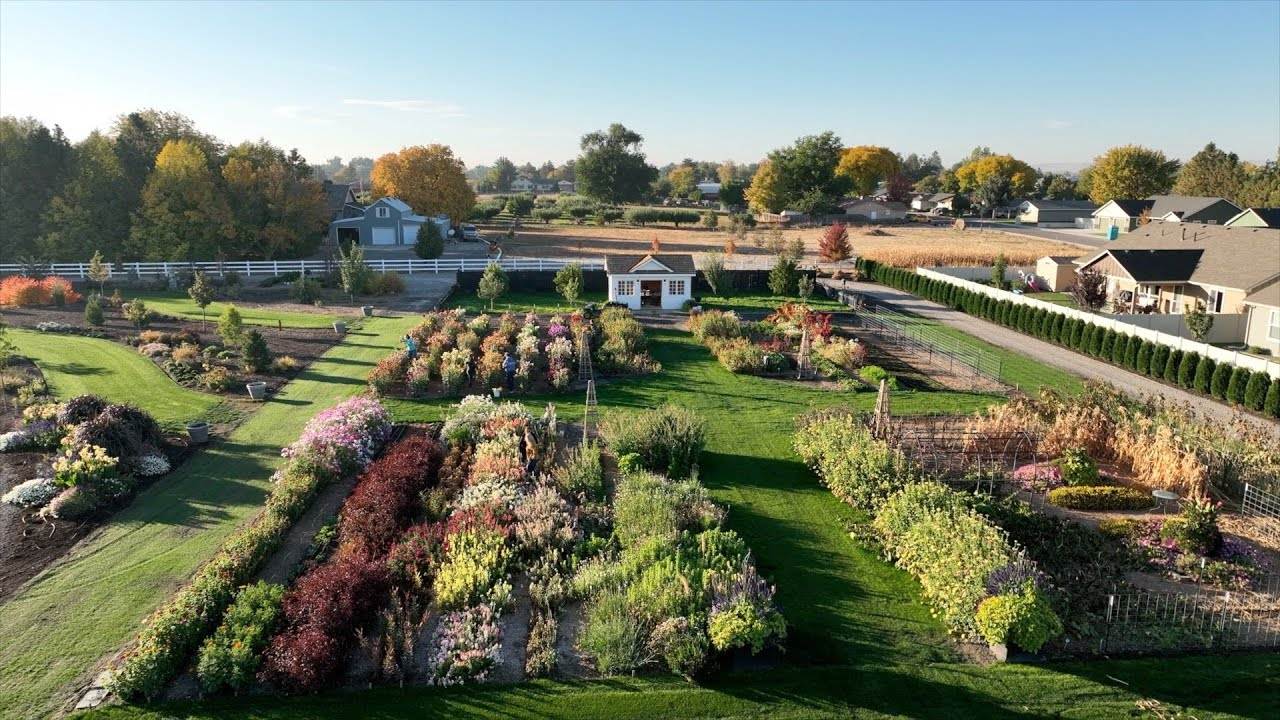 Brightening Lives with Flowers: Spreading Joy in Assisted Living & Community