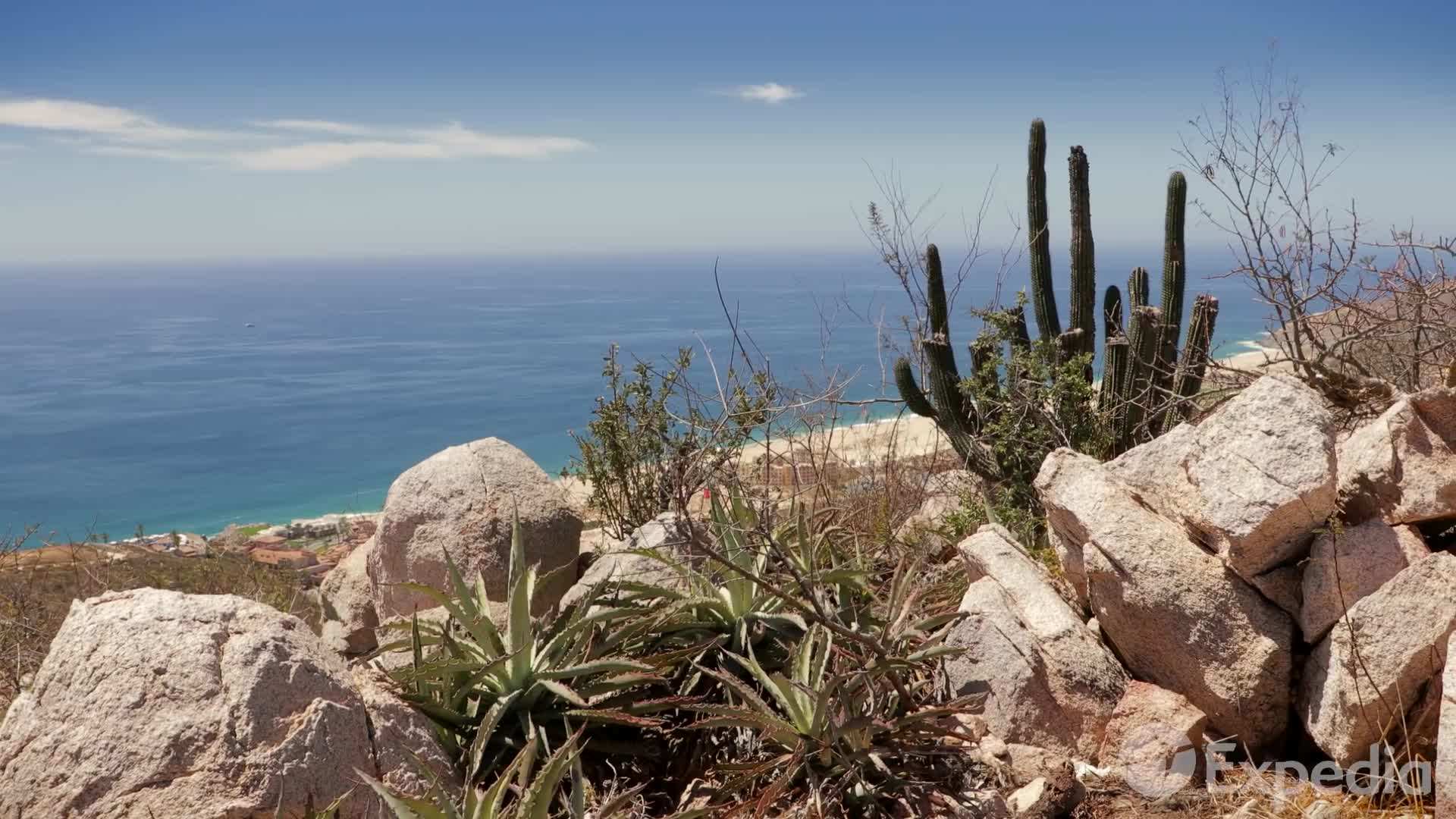 Fresh Seafood - A Culinary Delight