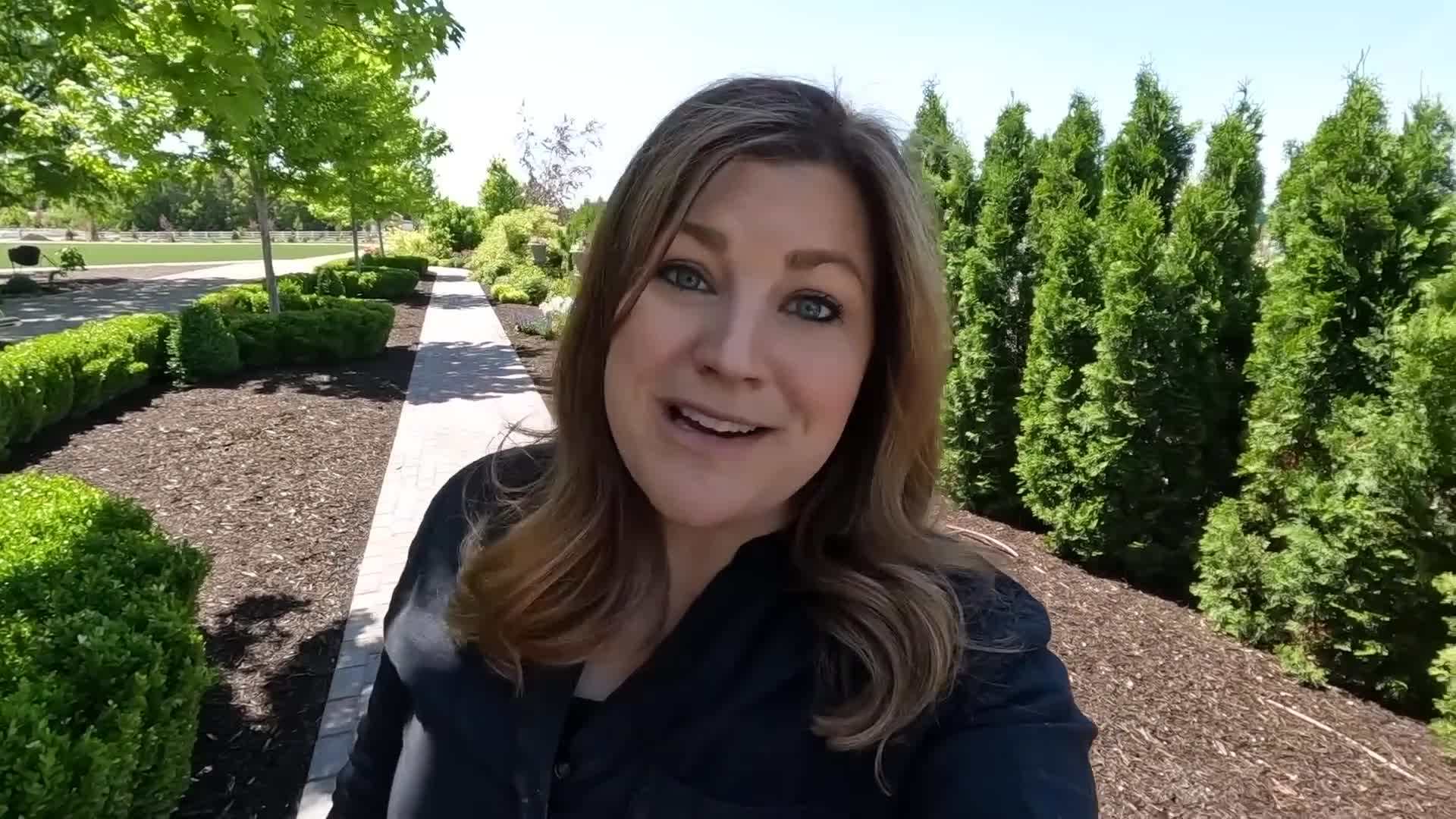 Royal Candles Speedwell Veronica