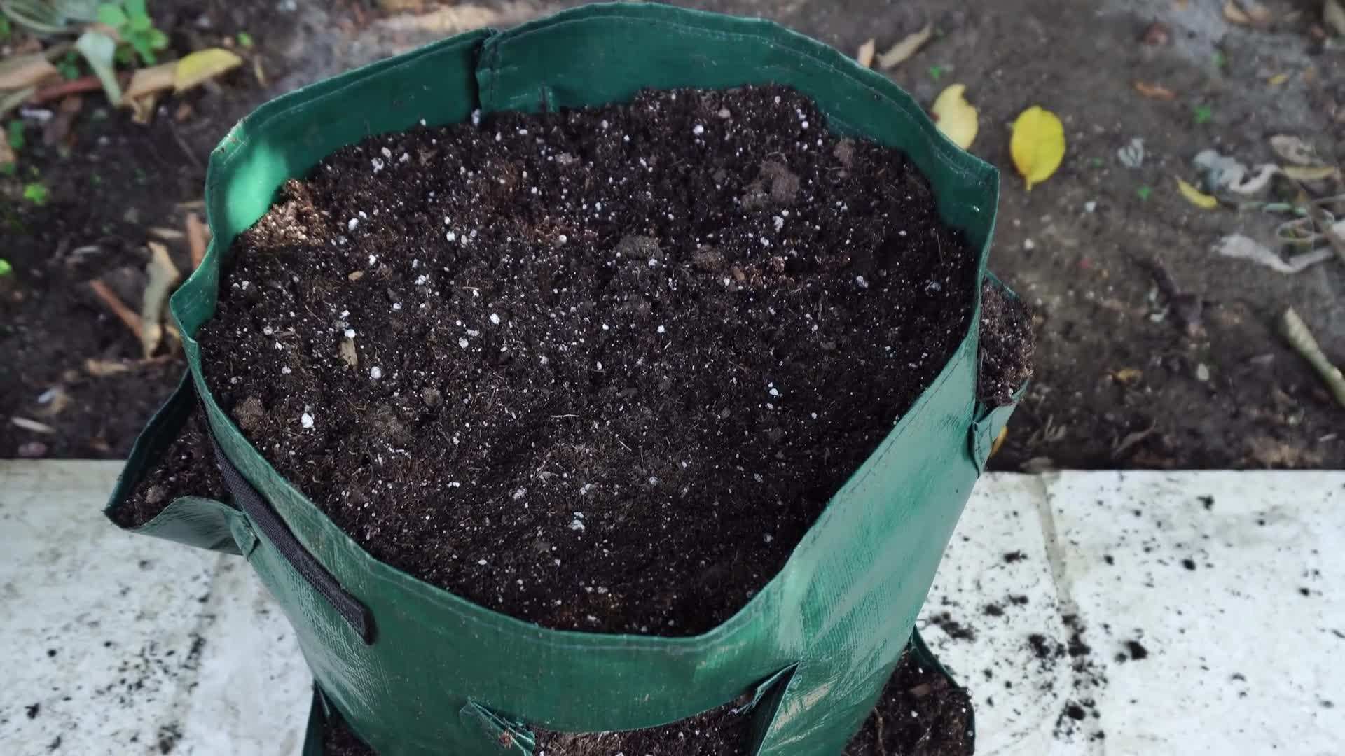 Different types of strawberry grow bags