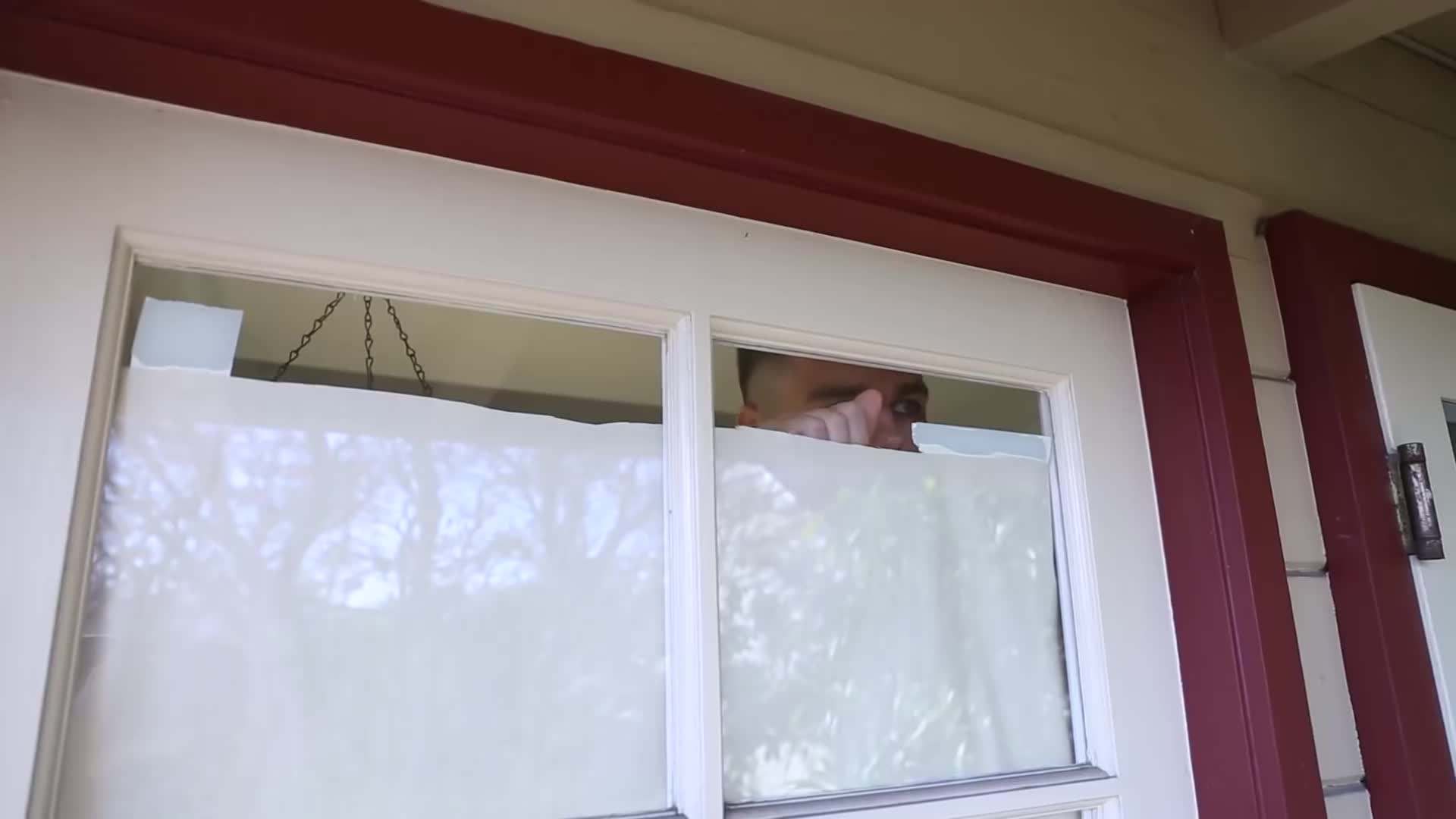 Colorful flowers bringing vibrant pops of color to our outdoor space