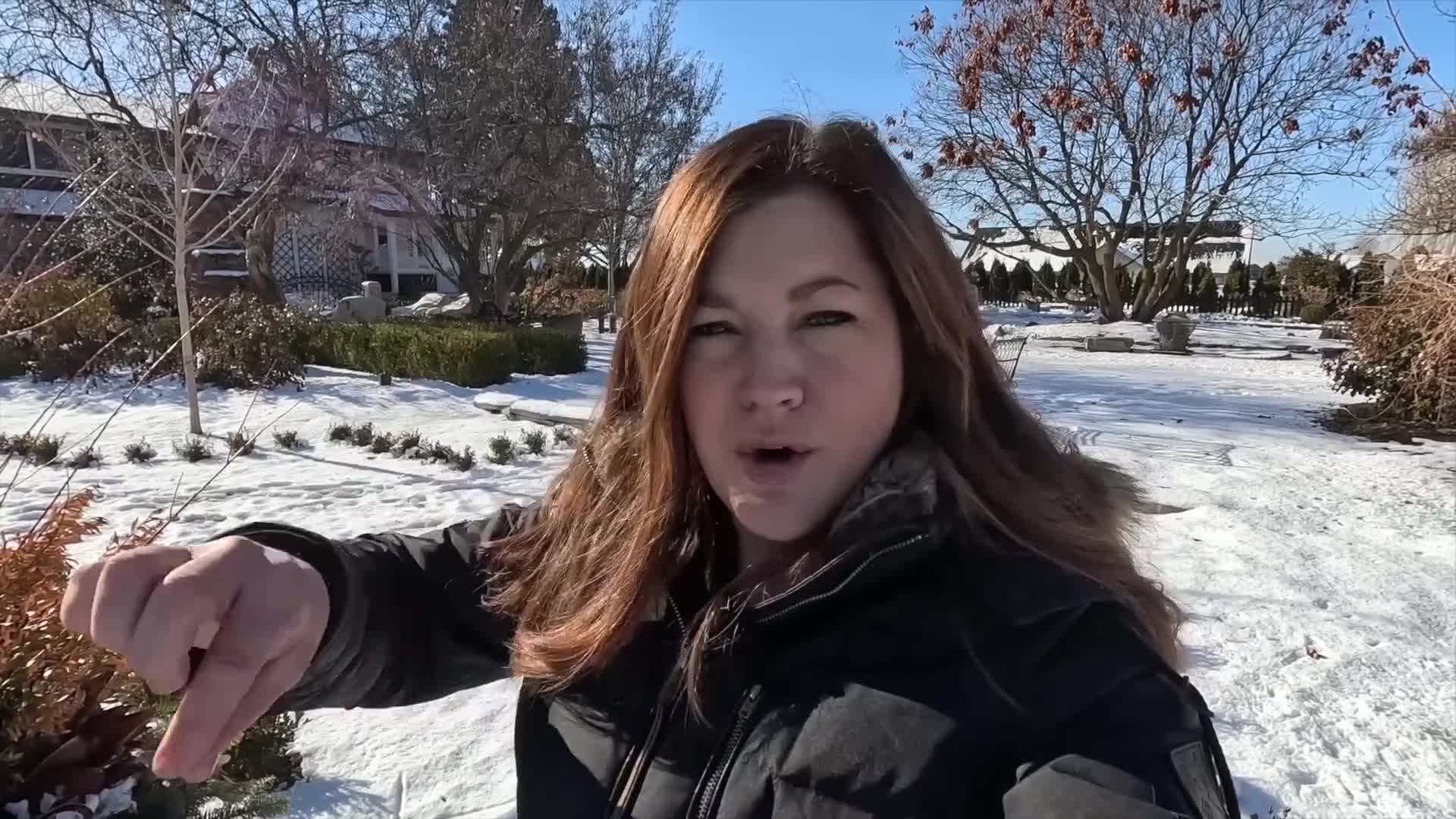 Teak bench in different weather conditions