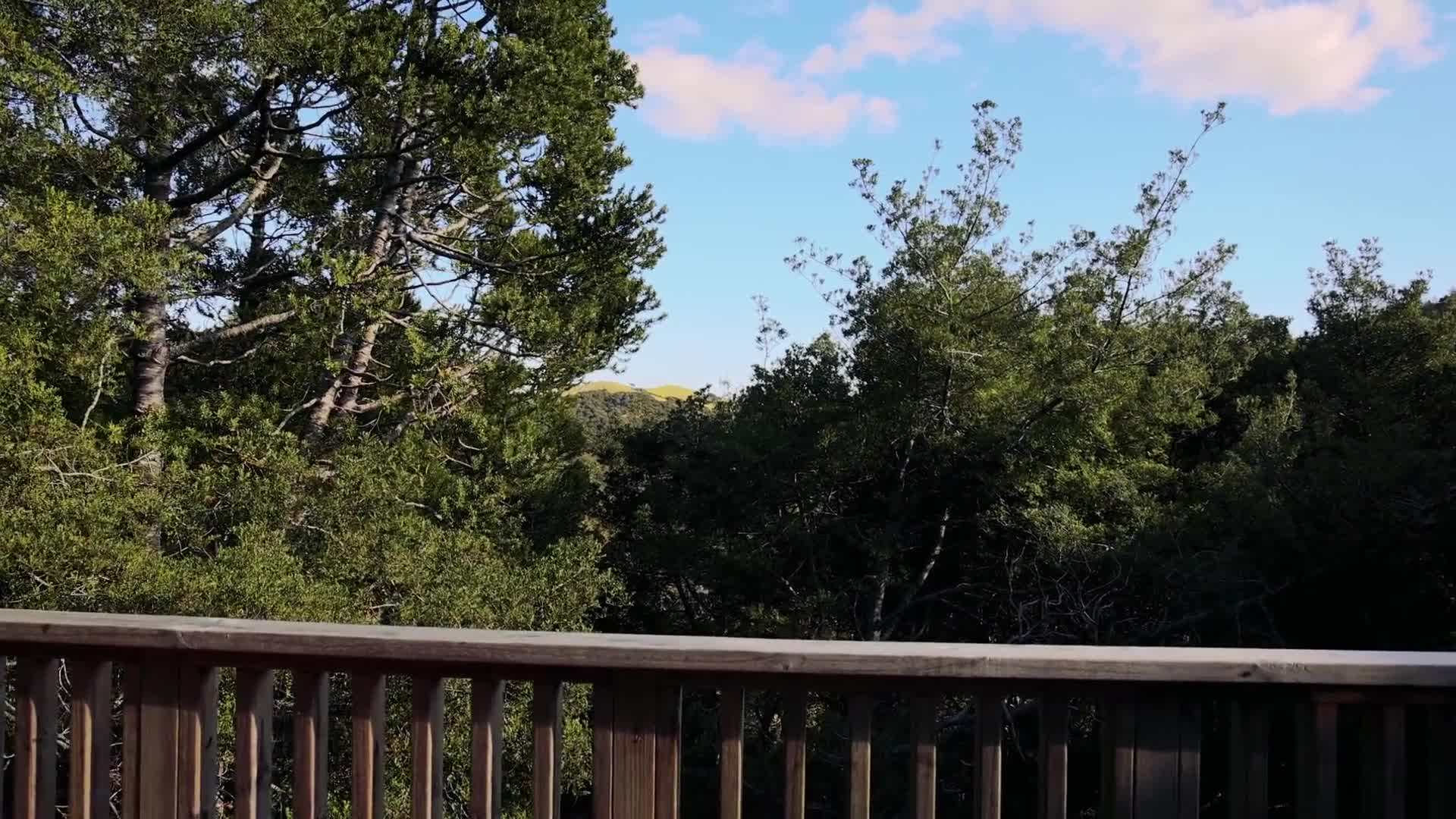 Enjoying modern comforts in an eco-friendly way