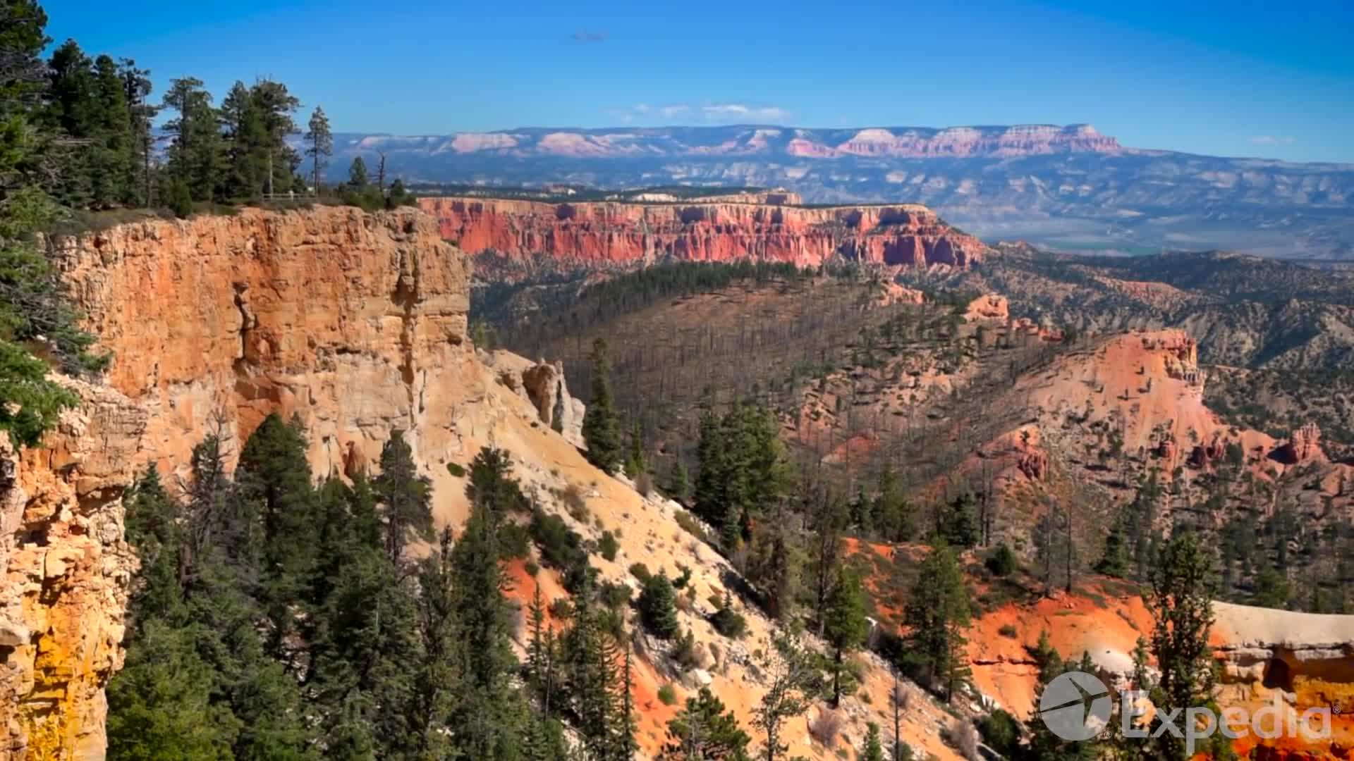 Visitor Center: Gather Important Information
