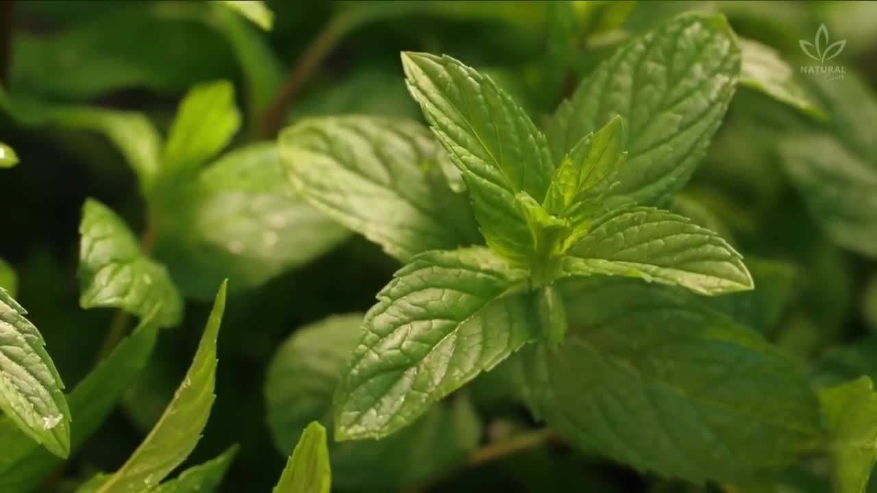 Image 2: Ingredients for the recipe