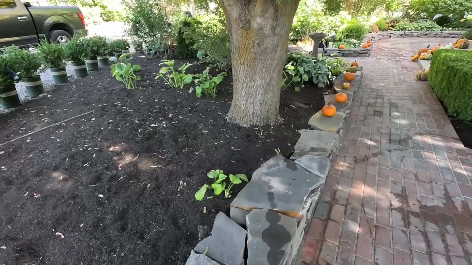 Watering a fall container using a watering can