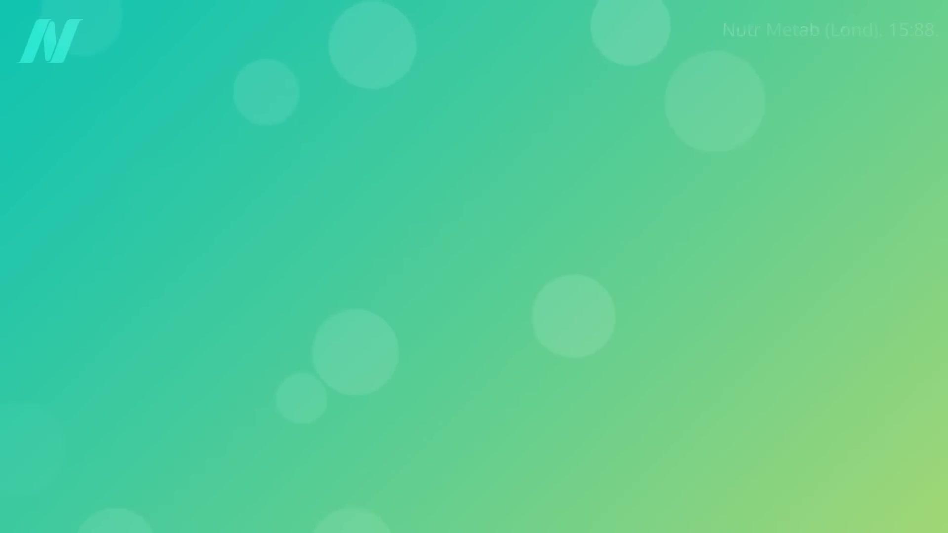 Plant-Based Protein Sources