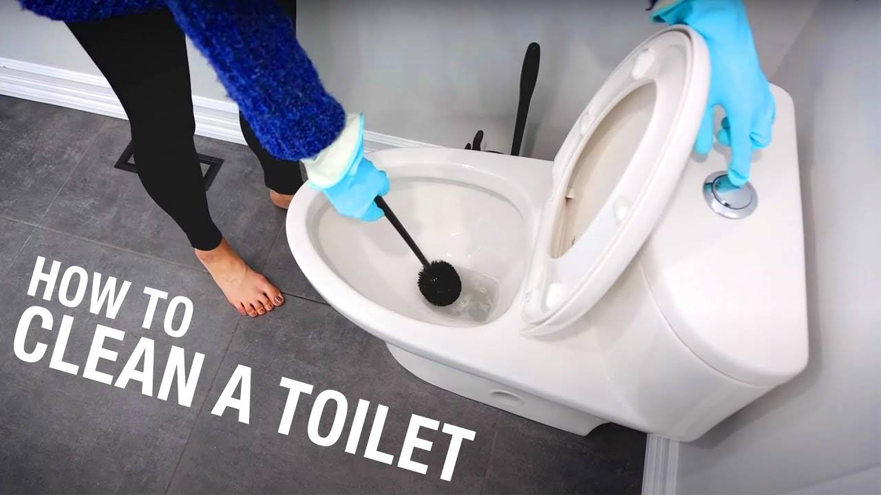 How to Clean a Toilet in Less Than 3 Minutes: Expert Cleaning Tips