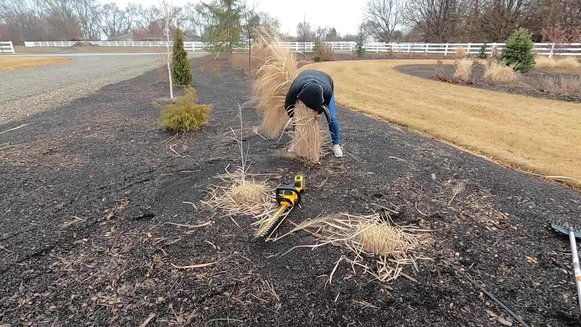Loosening the soil with a garden fork
