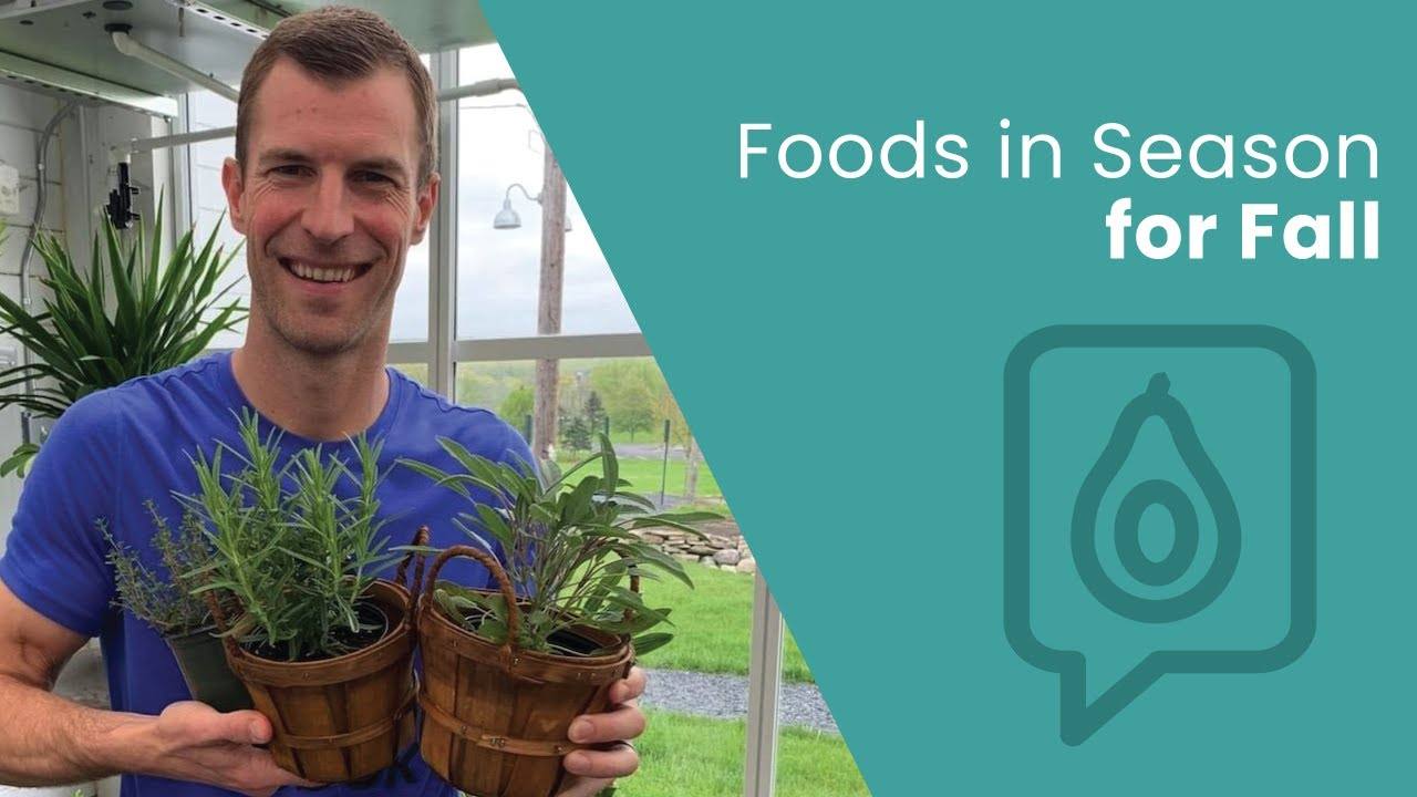 The Best Fall Foods to Boost Your Health | Dr. Josh Axe