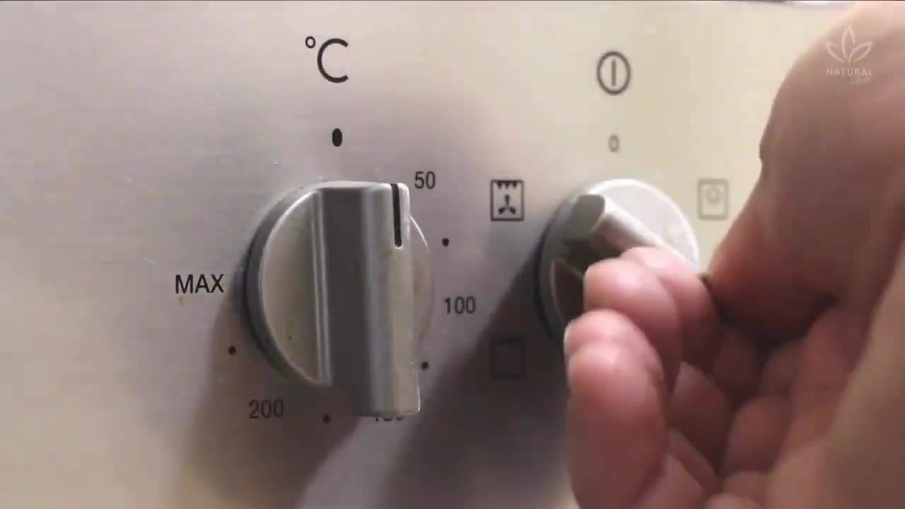 Garlic and Onion Bulbs