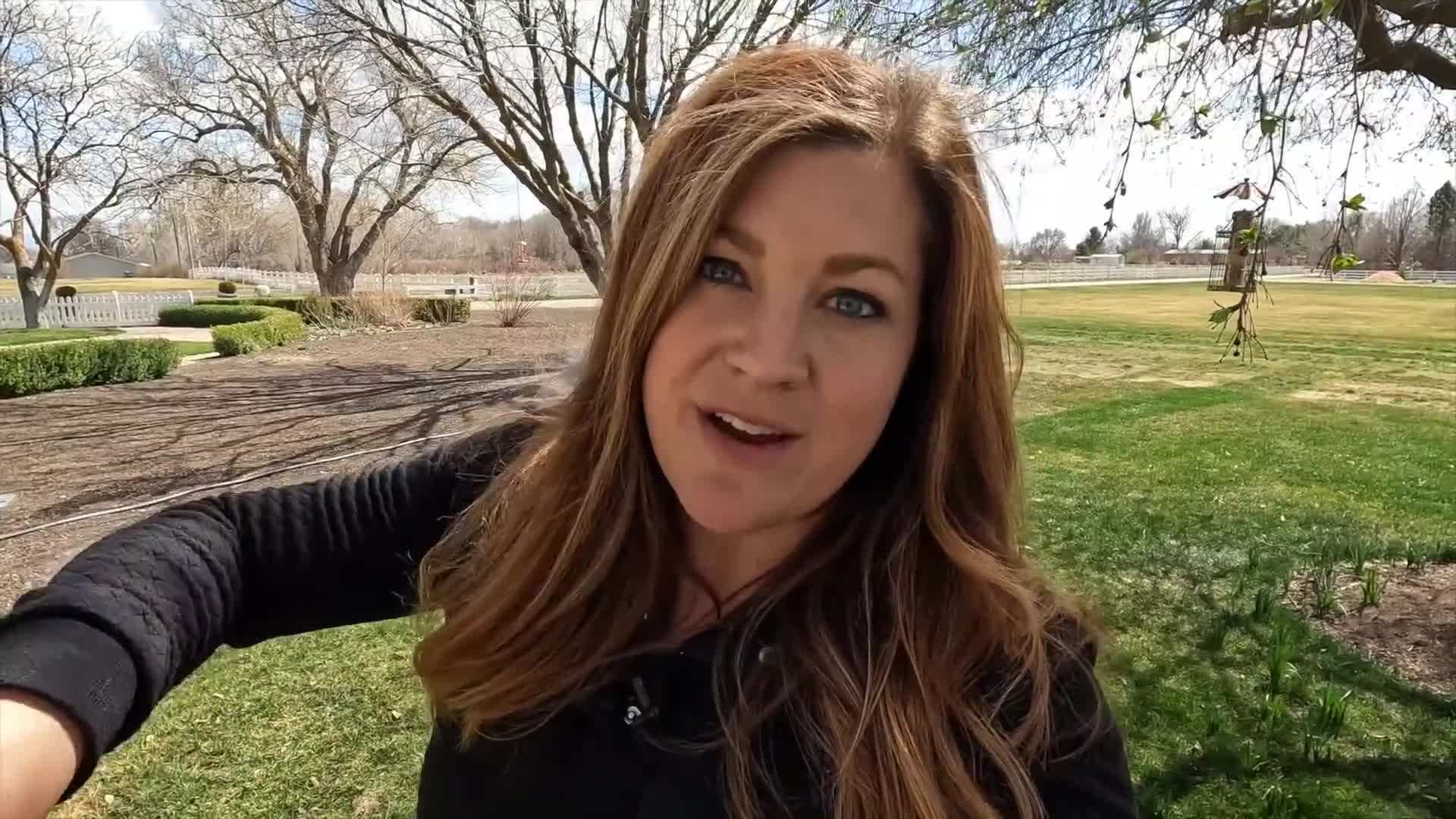 Examples of suitable window boxes for planting salad and herb gardens