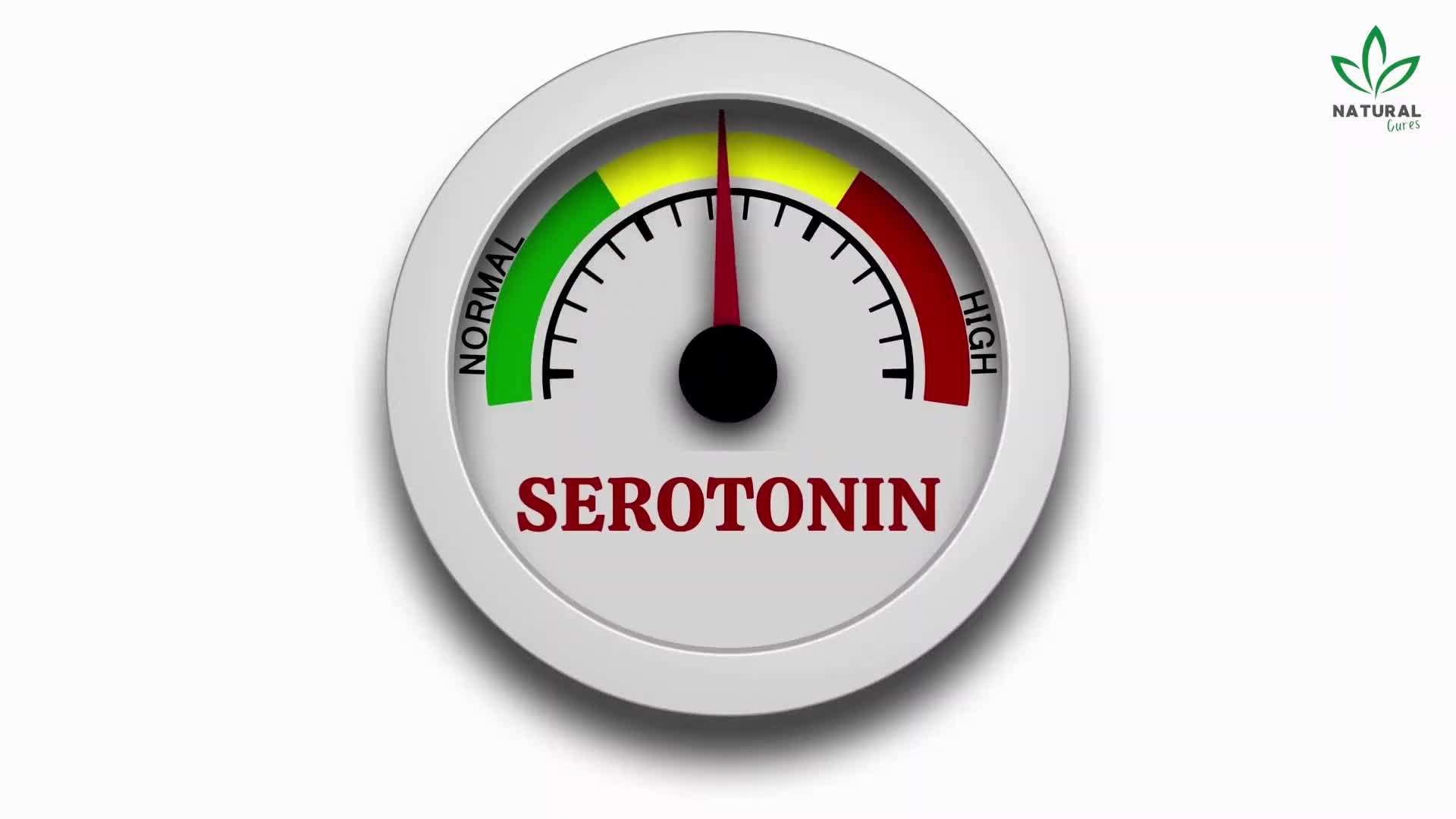 Flaxseeds - Omega-3 fatty acids, lignans, and fiber for menopause relief