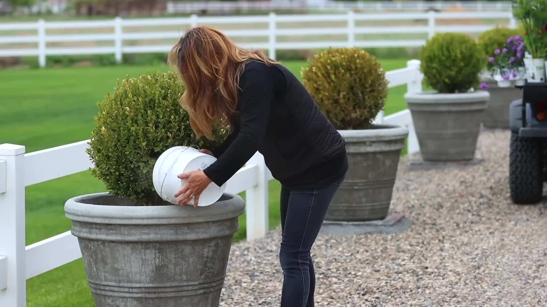 Arrangement with contrasting colors and leaf shapes