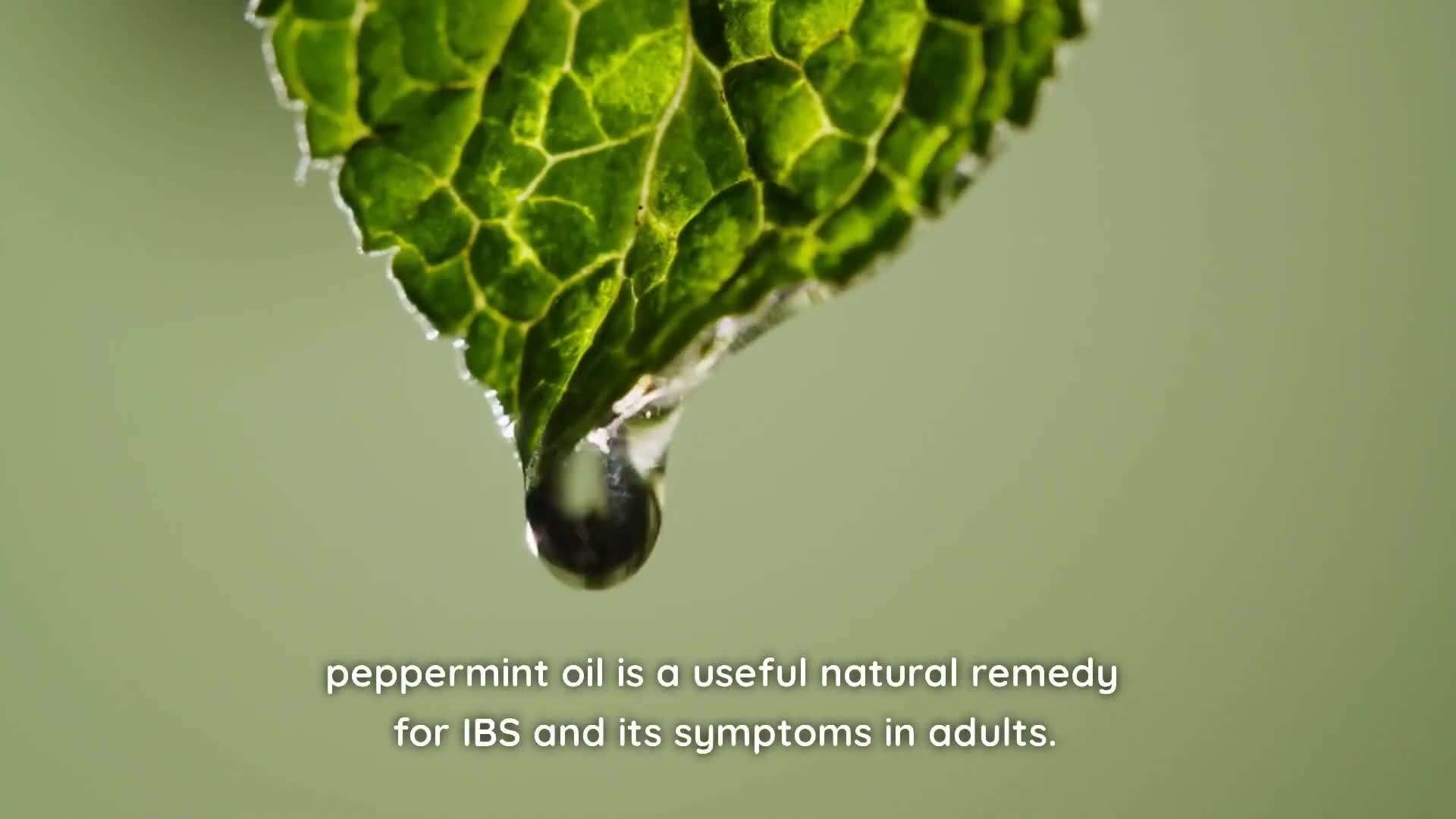 Illustration showing the digestive system