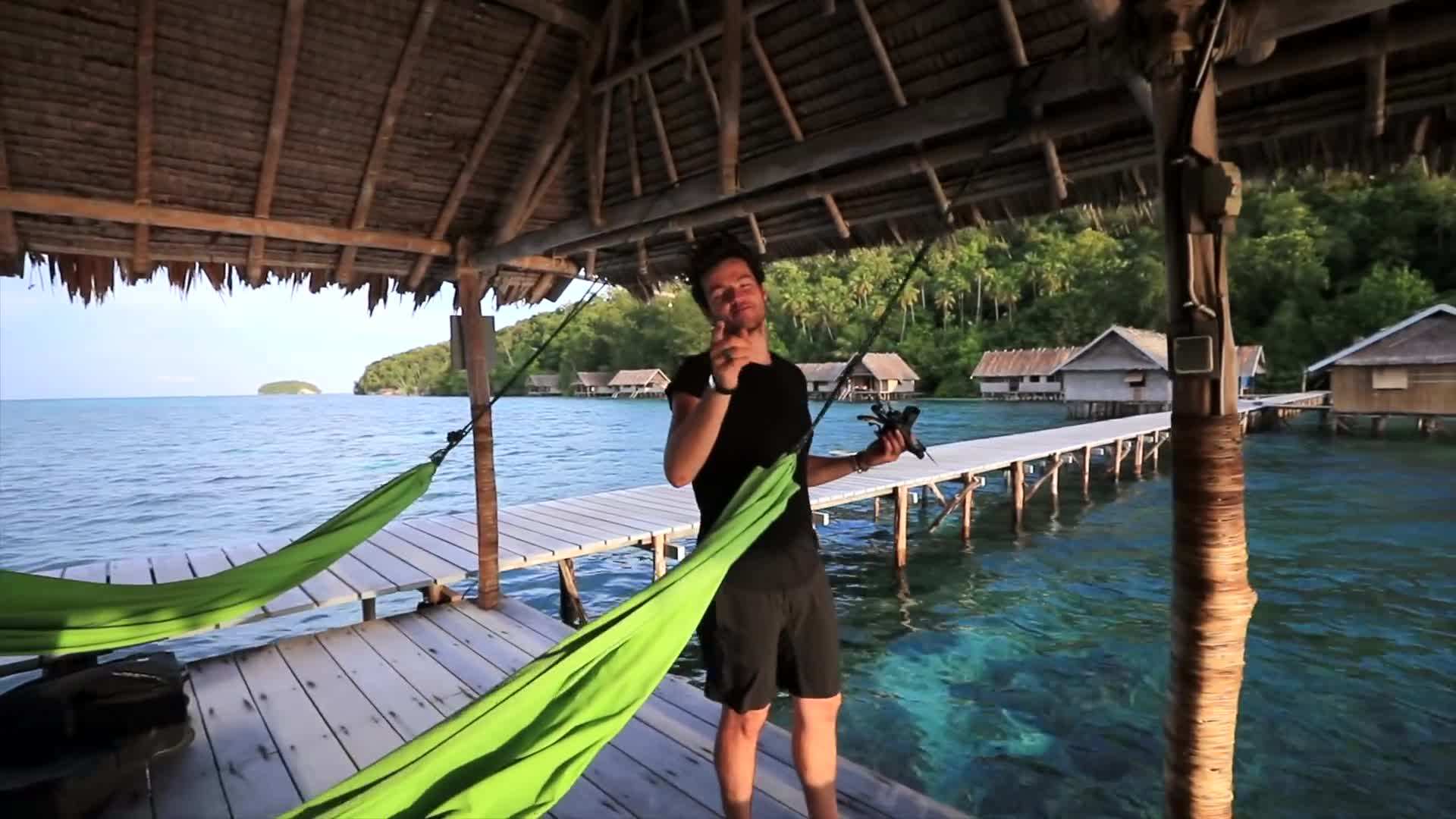 Manta ray gracefully swimming in Raja Ampat