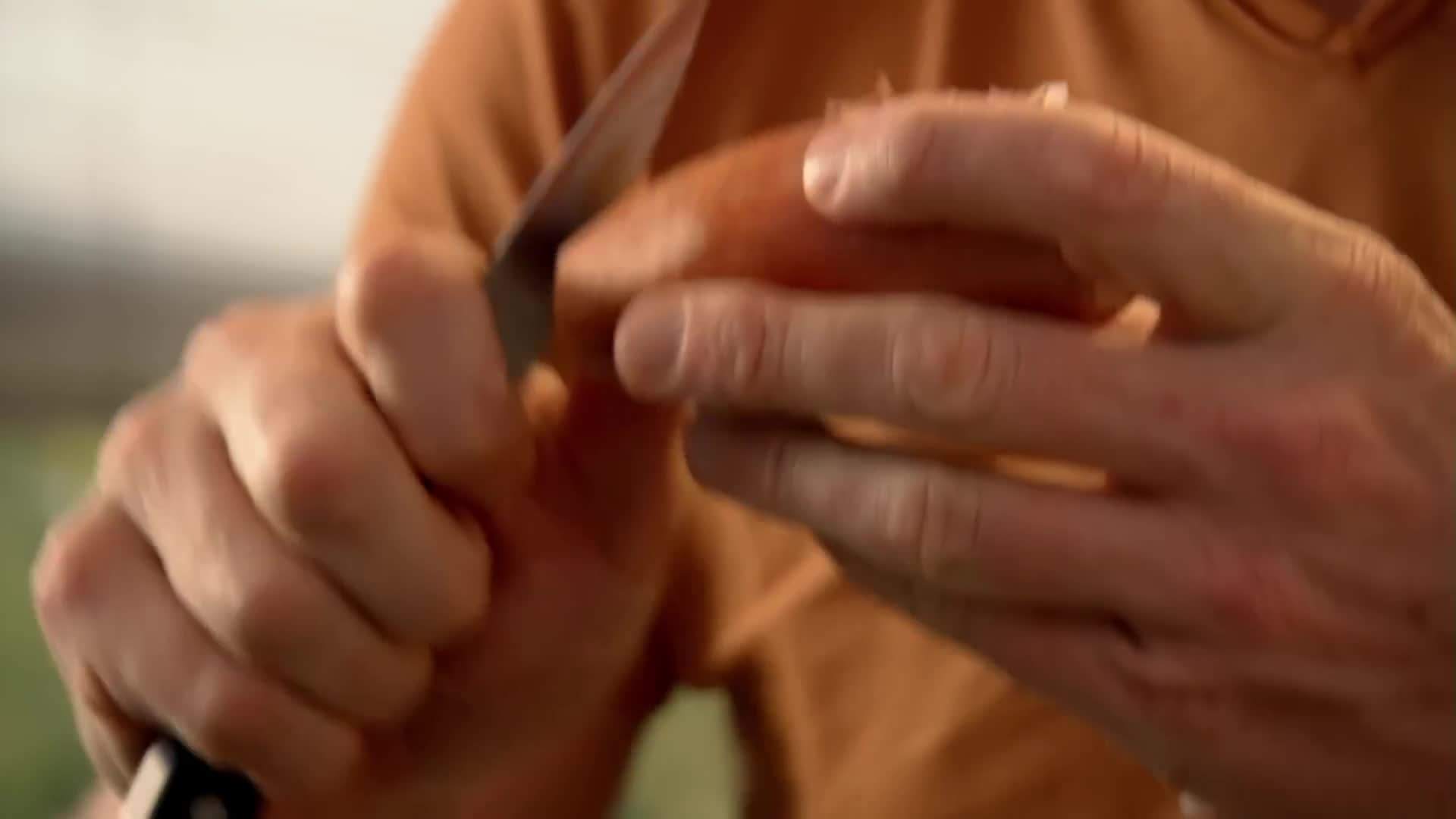 A bowl of crisp Caesar salad with crunchy croutons and shaved Parmesan cheese