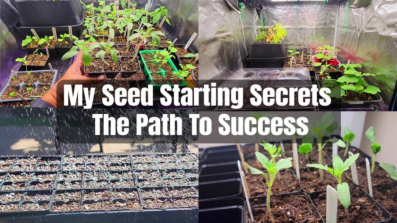 Seed Starting Secrets: Step-by-Step Guide to Growing Veggies Indoors
