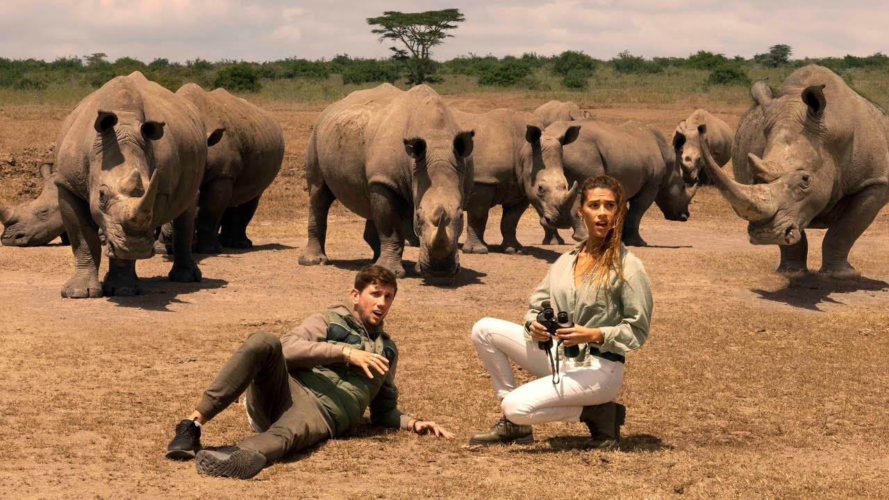 The Last Rhinos: A Look at their Journey from Near Extinction to Conservation Efforts