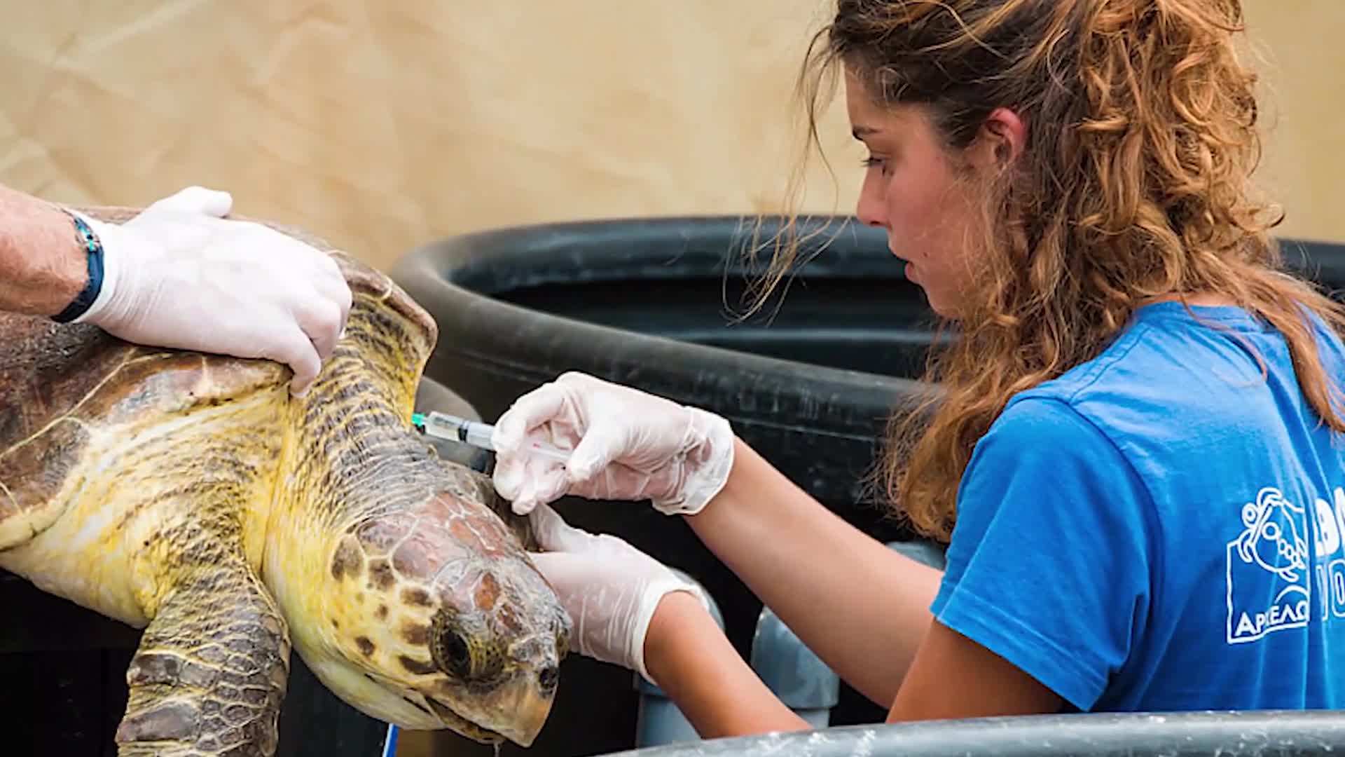 Biking as a sustainable and immersive travel experience