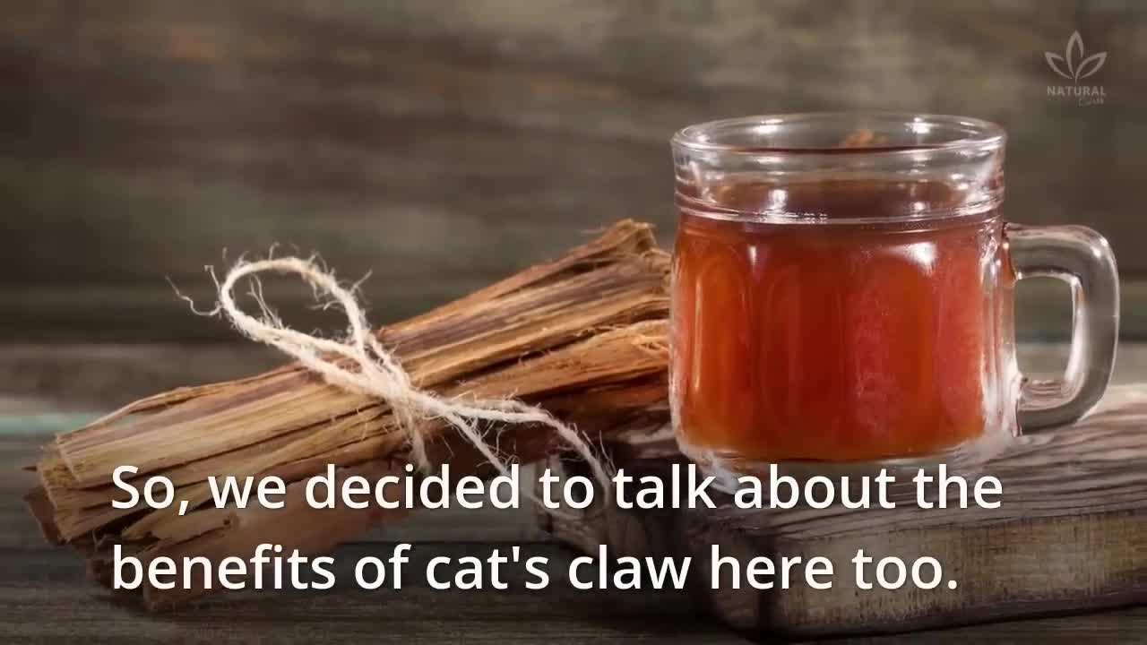 Cat's Claw: A Powerful Herbal Remedy