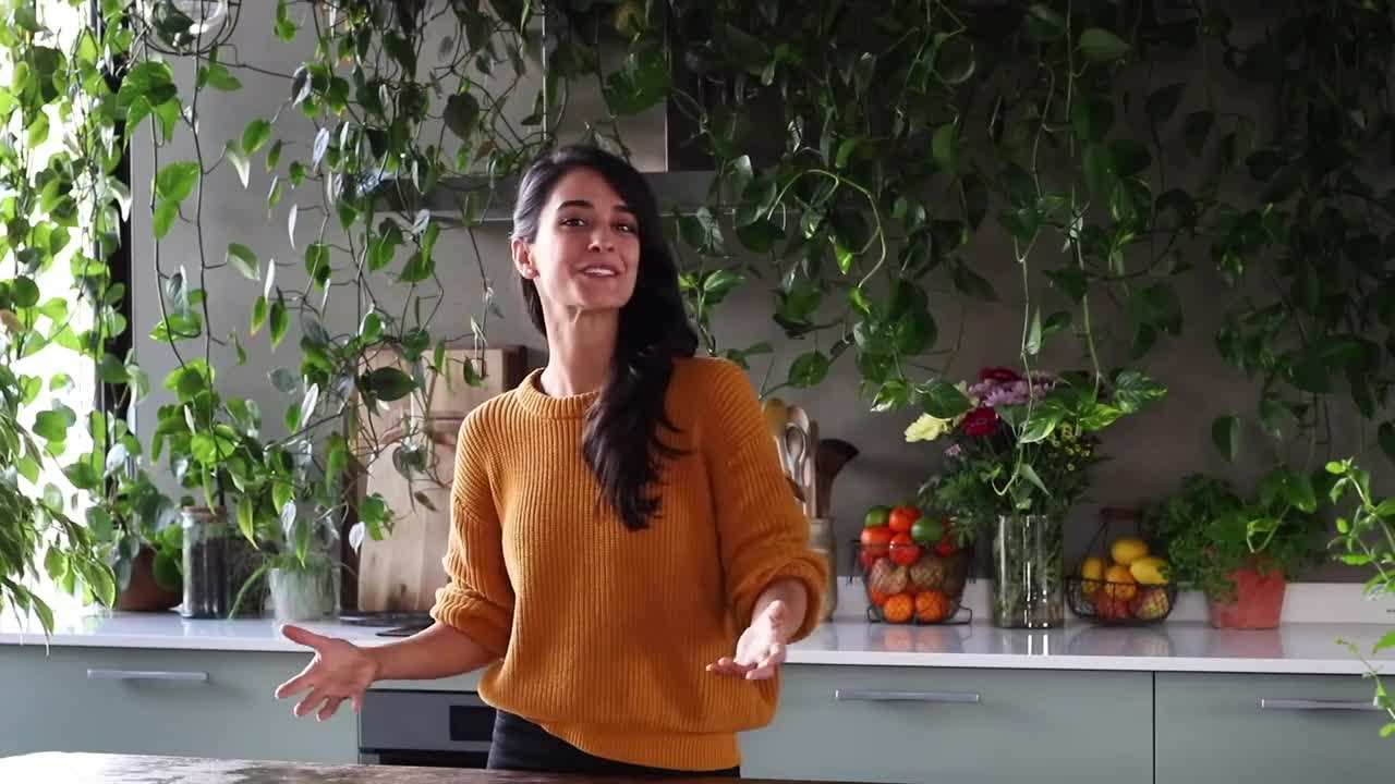 Meal prepping ingredients for budget-friendly vegan meals