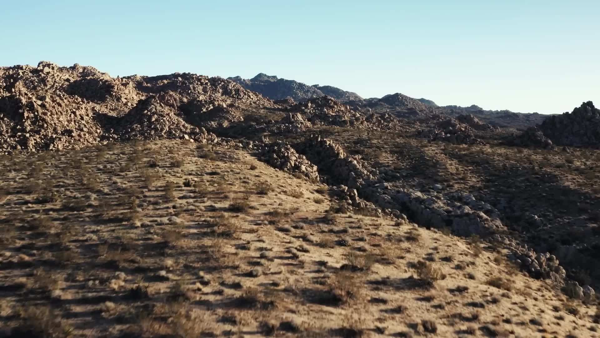Interior view showcasing the unique fossil-inspired design