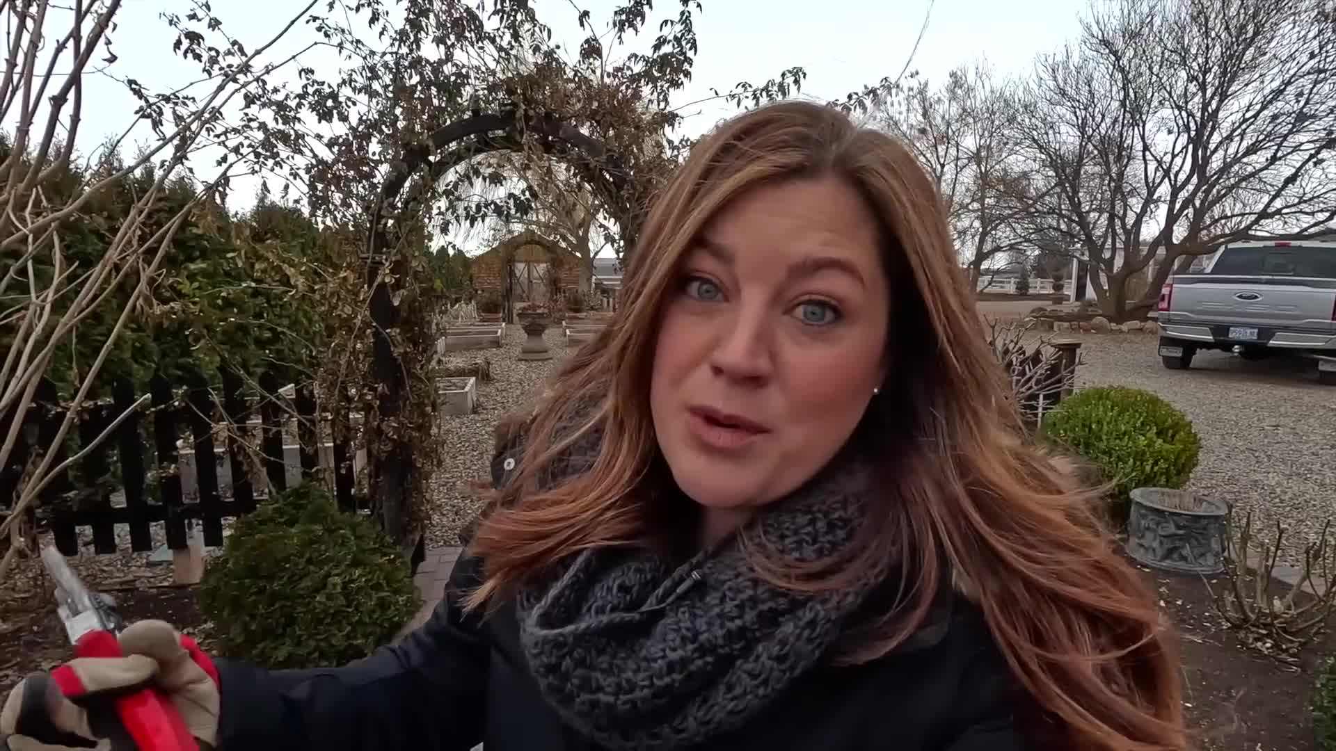 Protective gloves like FELCO 702 are recommended for rose pruning