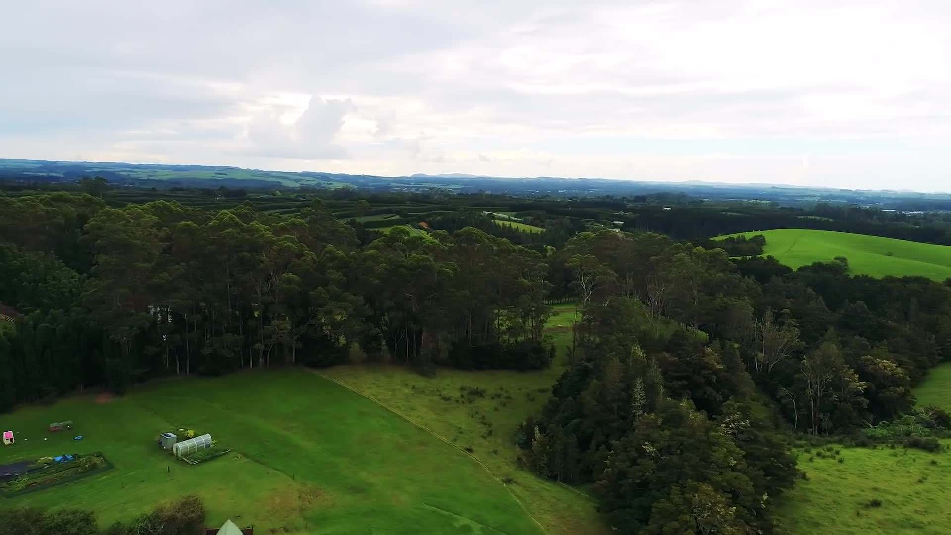 Exterior view of the floating tiny cabin amidst nature