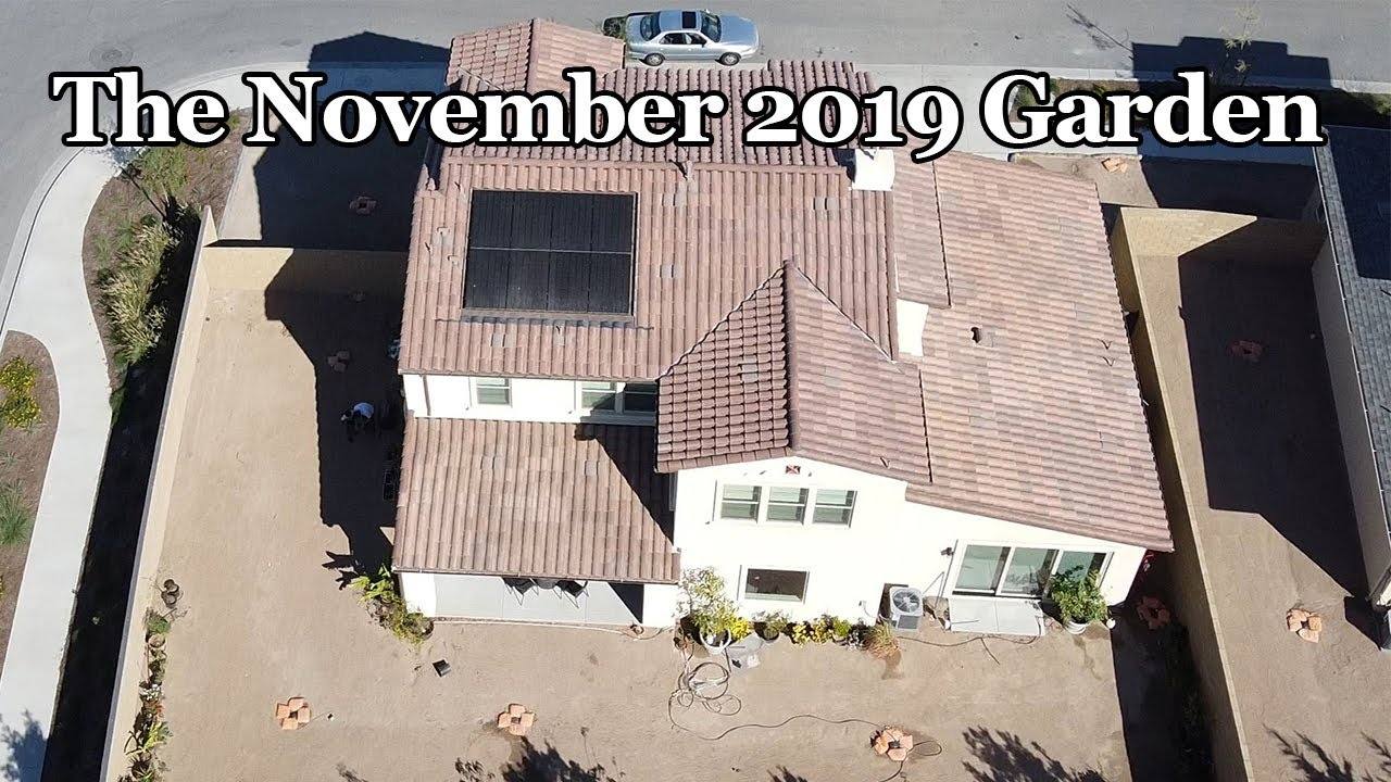 California Gardening: November 2019 Garden Tour - Drone Views, Harvests, and More!