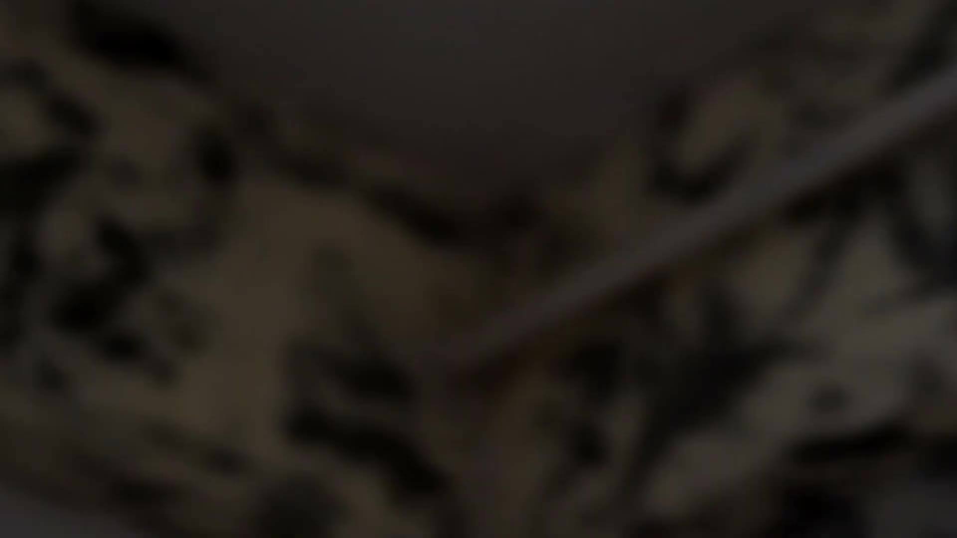 Spacious Living Room in the Airbnb Apartment