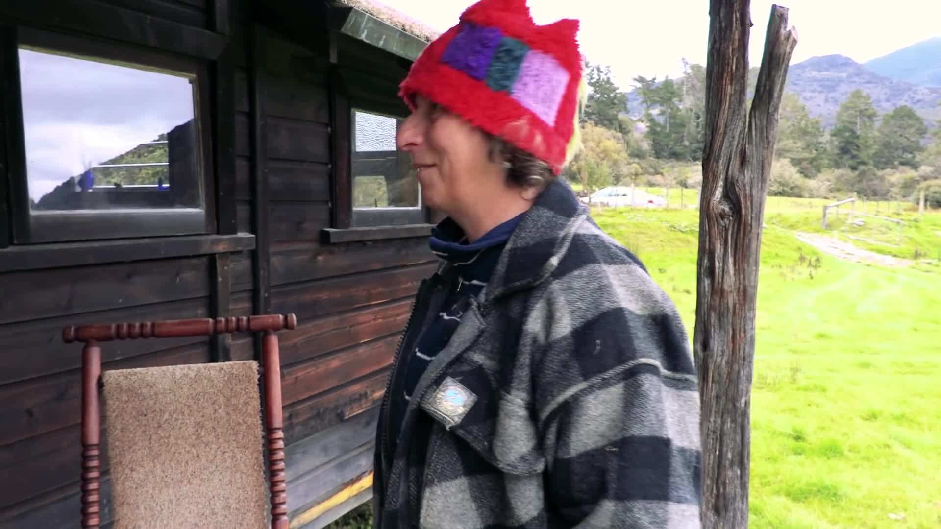 The solar panels powering the cabin, showcasing sustainable energy practices