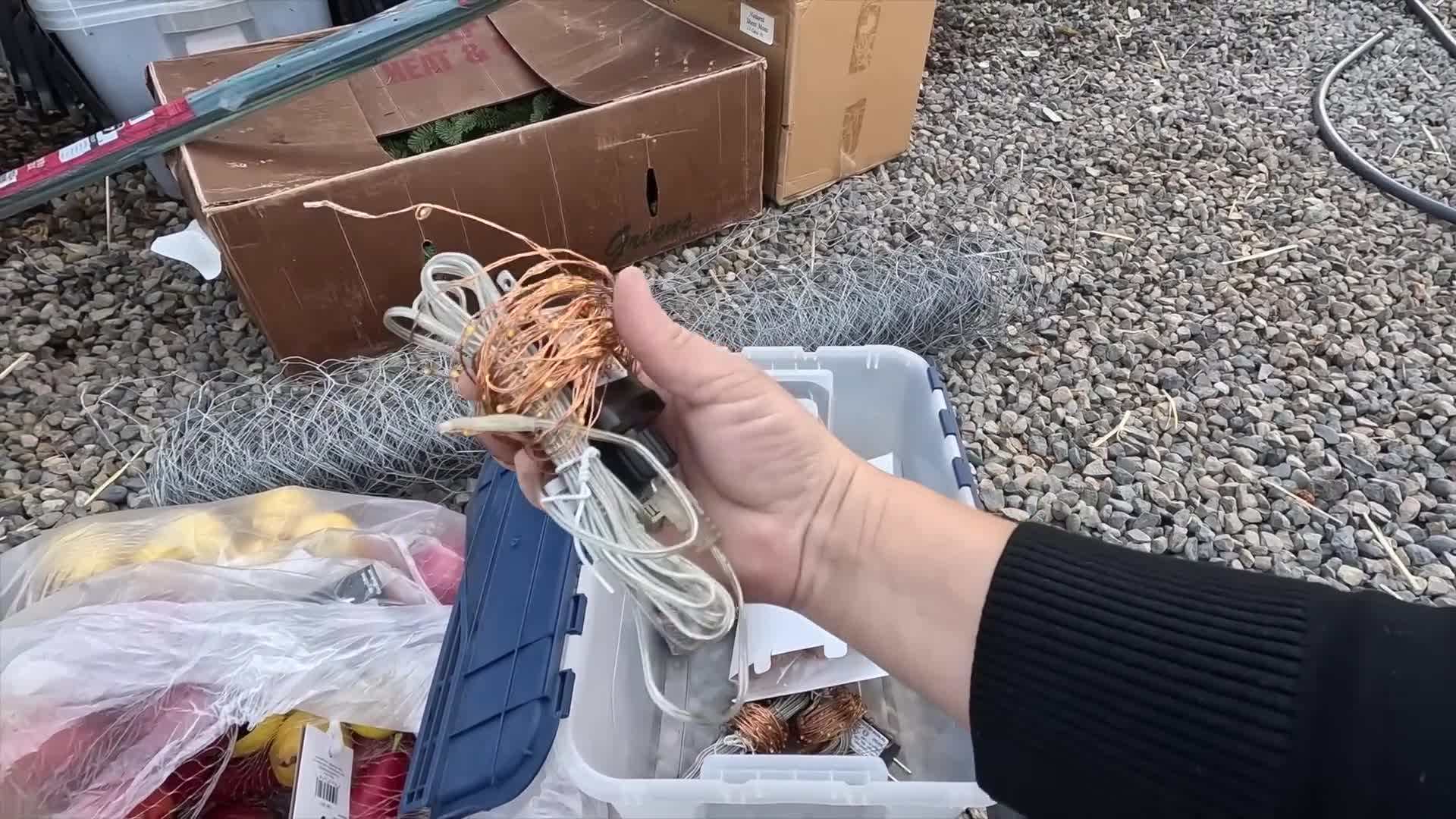 Essential Tools for Fruit Topiaries