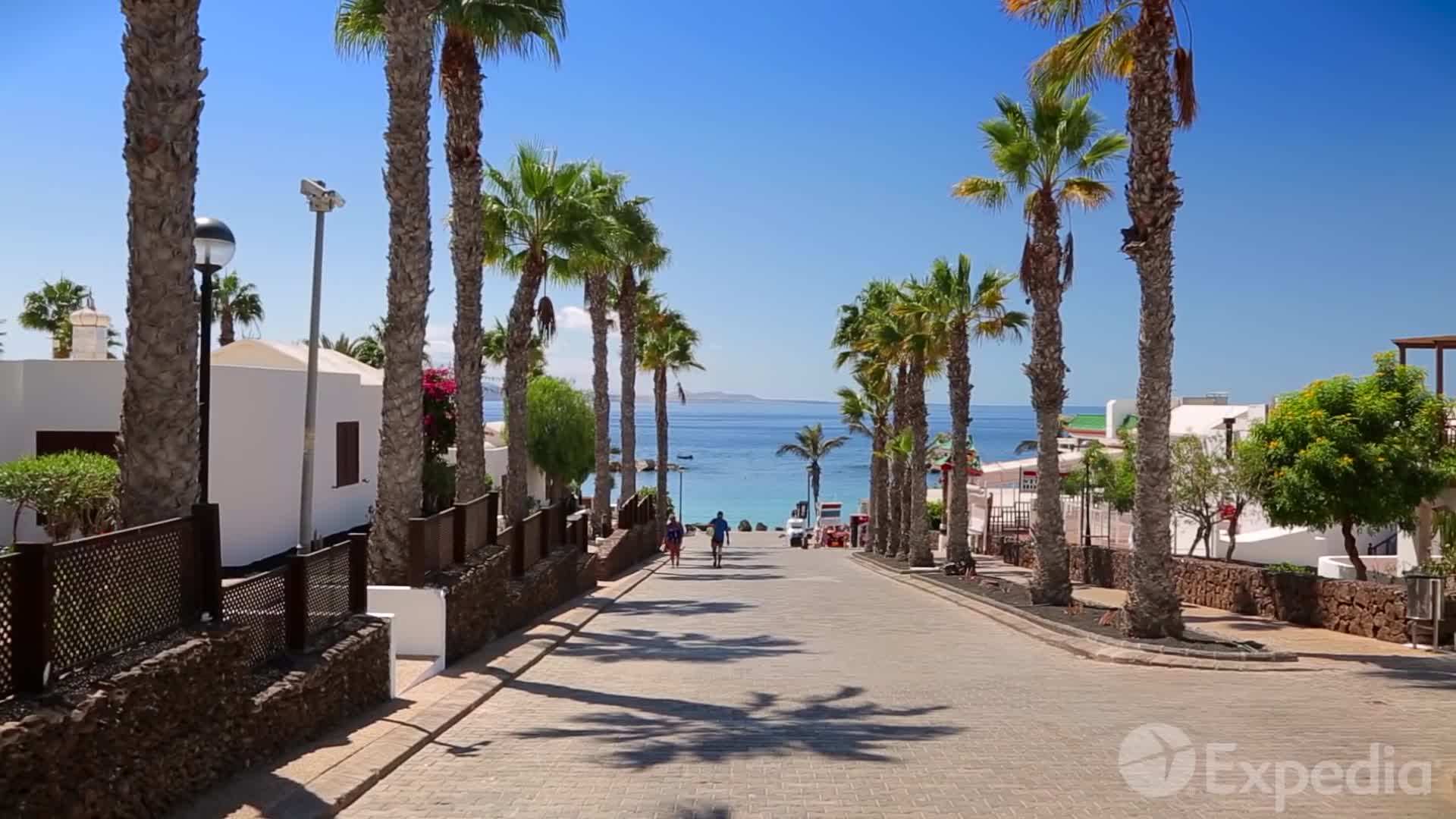 Carnival of Santa Cruz de Tenerife - A Spectacular Celebration