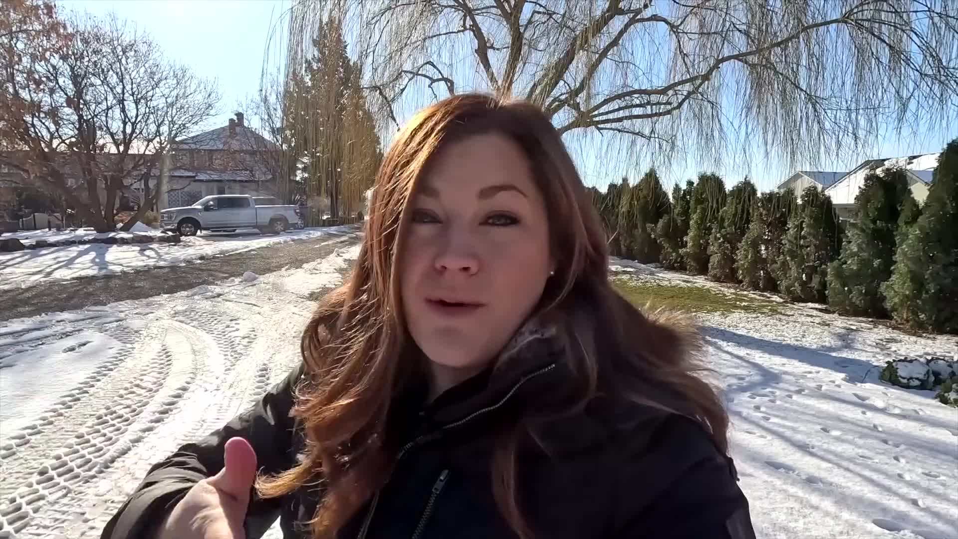 Close-up of the teak wood