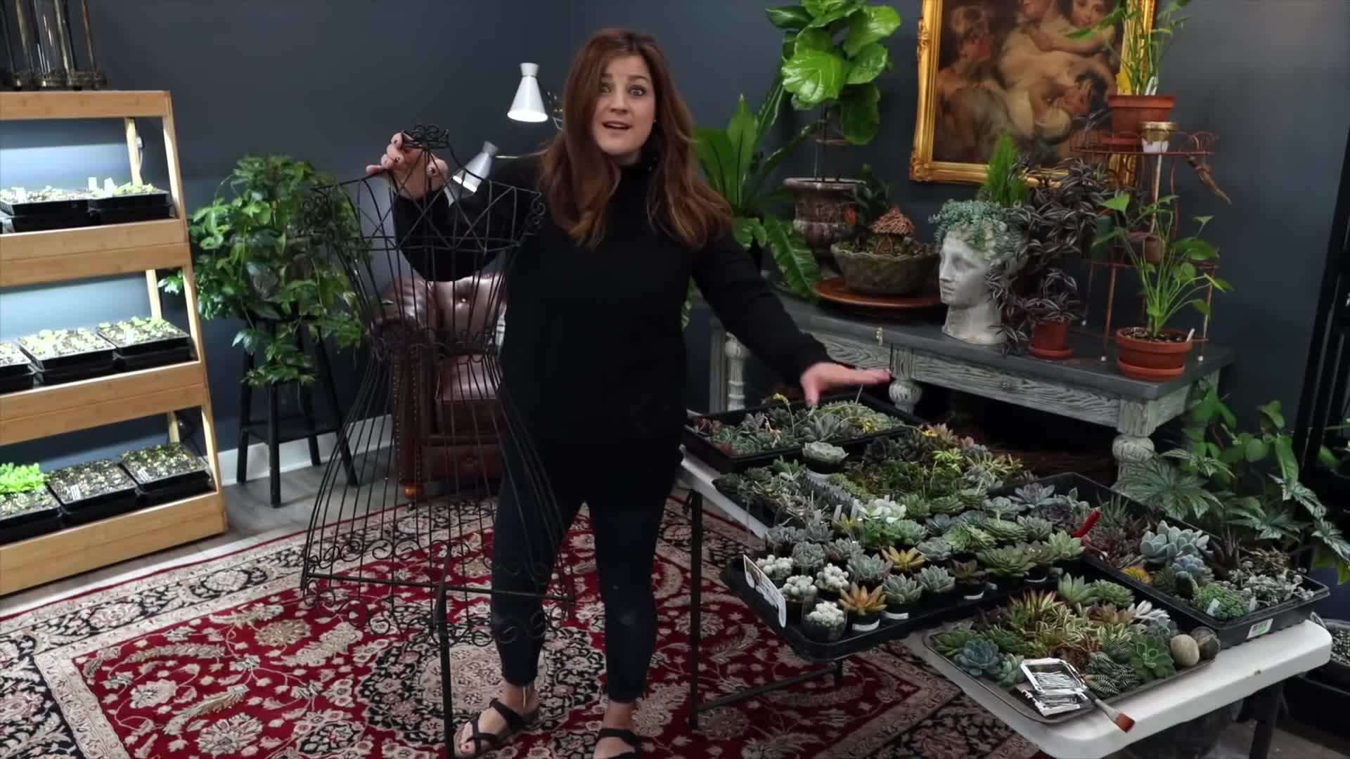 Wire dress form for succulent planter