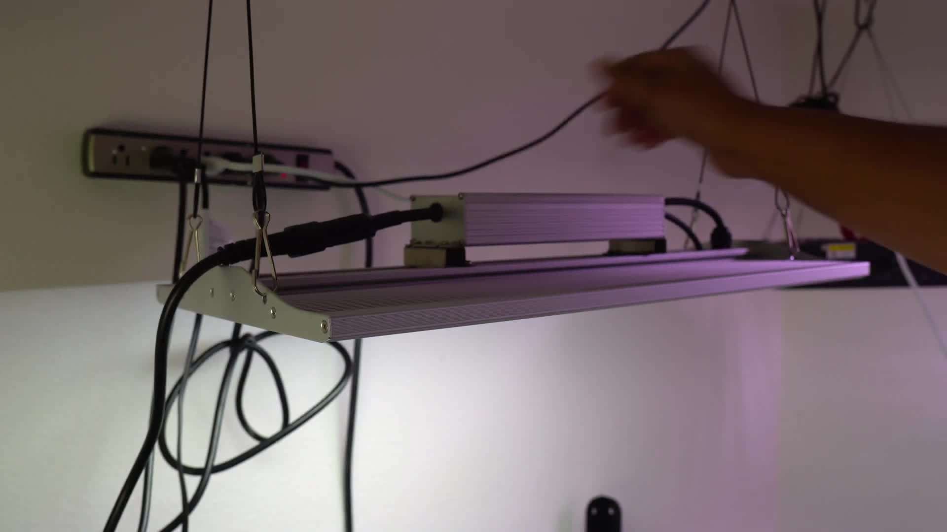 Freshly harvested fenugreek microgreens