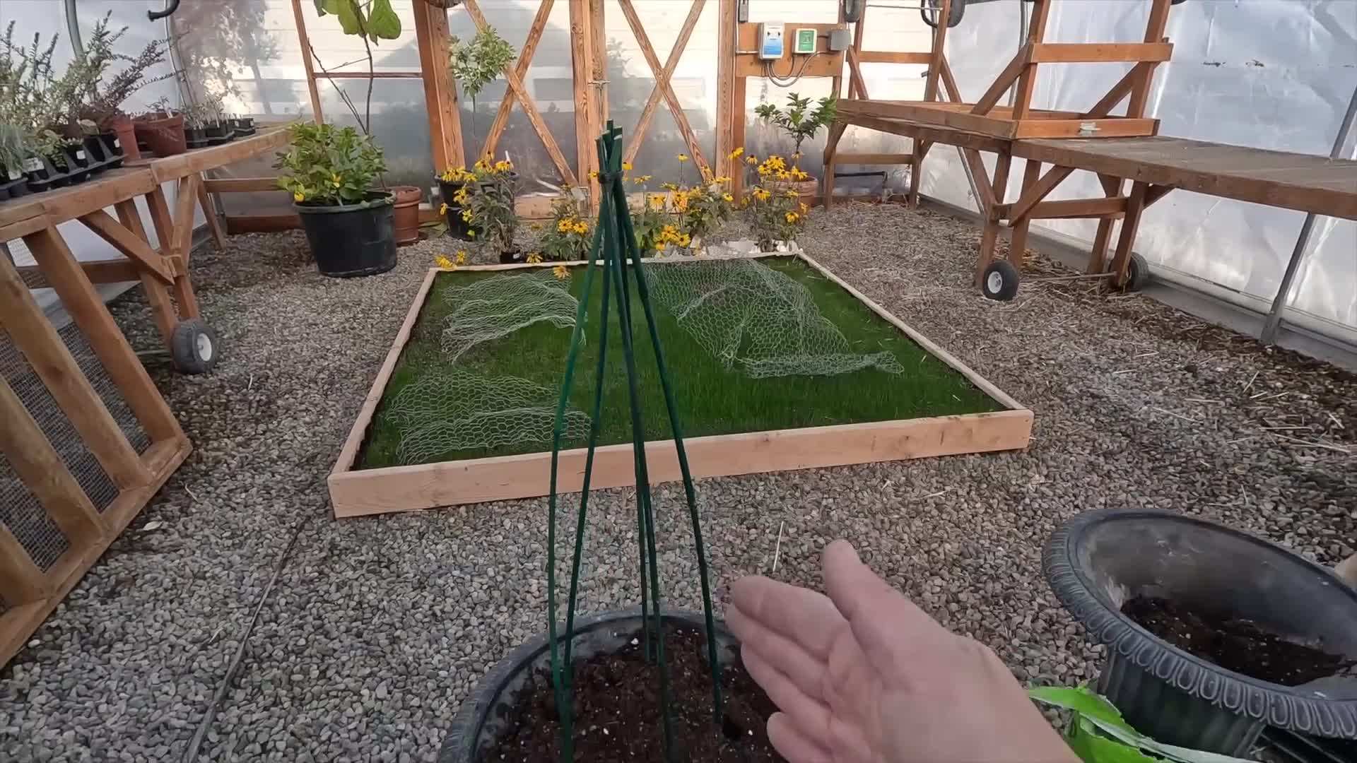 Choosing the Right Plants