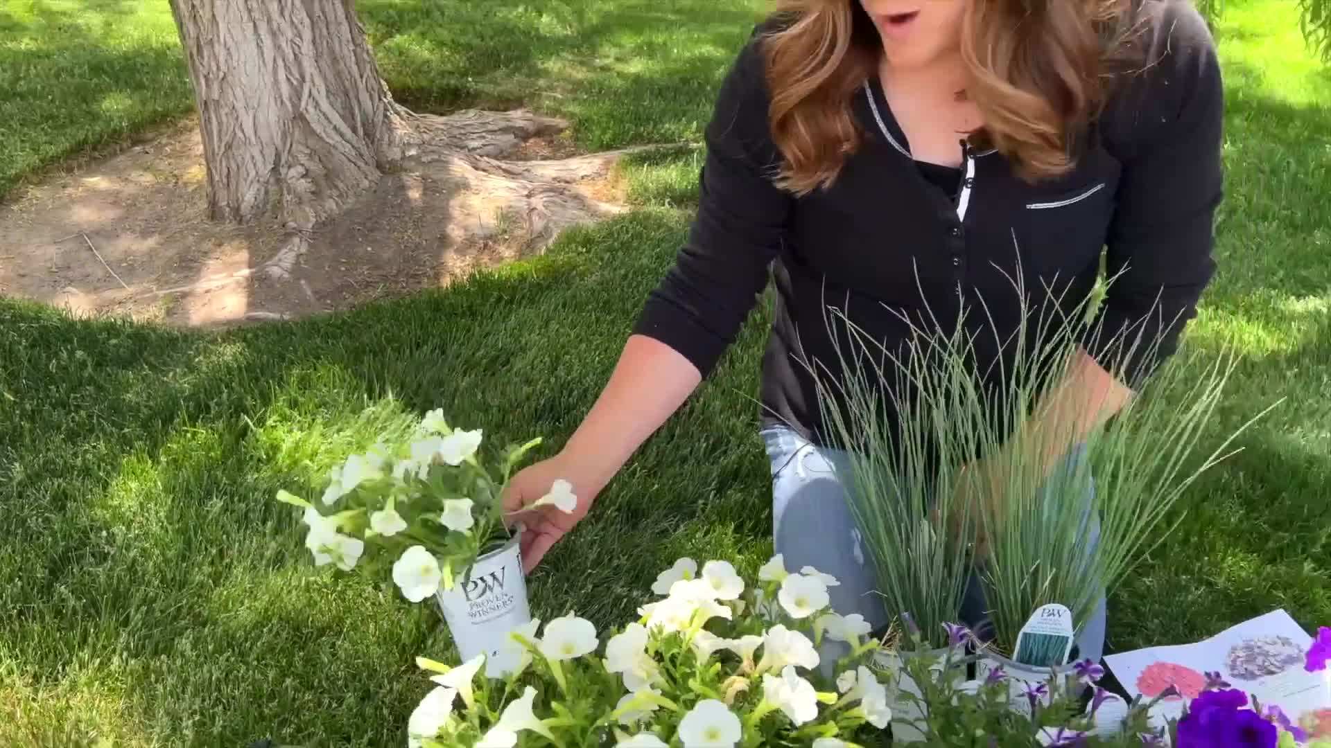 Containers with proper drainage holes