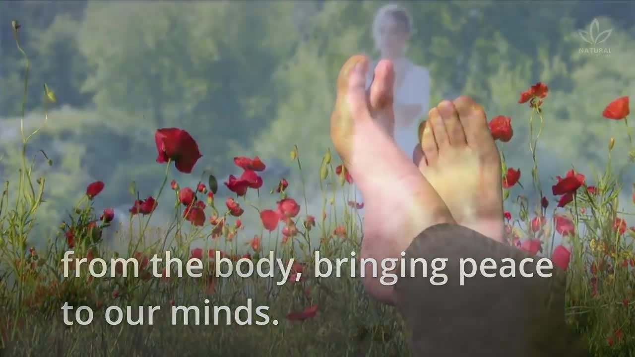 Illustration 2: Improving posture through barefoot walking