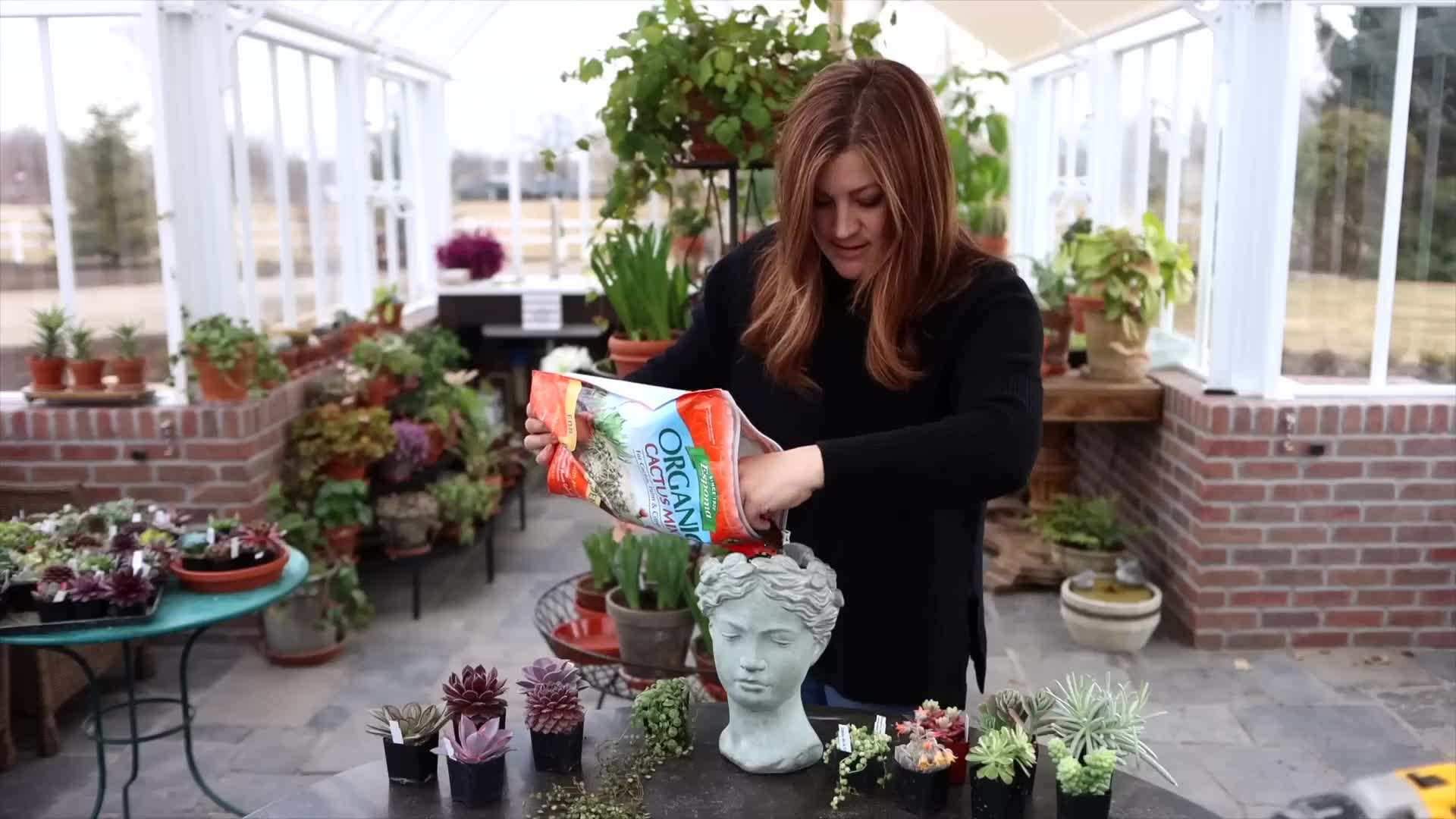 A variety of succulents for a diverse and visually appealing arrangement