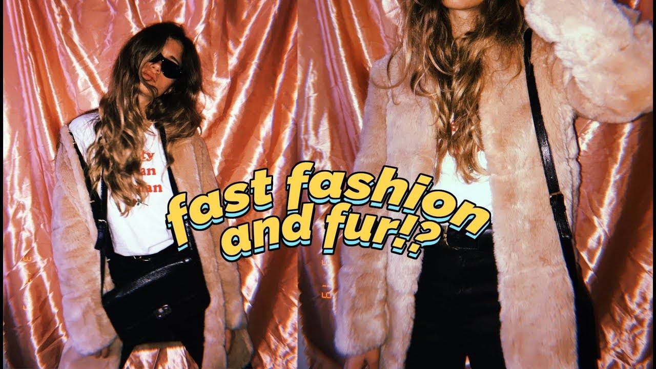 Unsustainable Purchases I Don't Regret