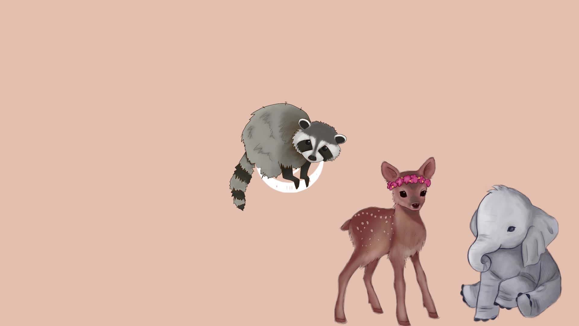 Greek Bouzouki and Baglamas Instruments