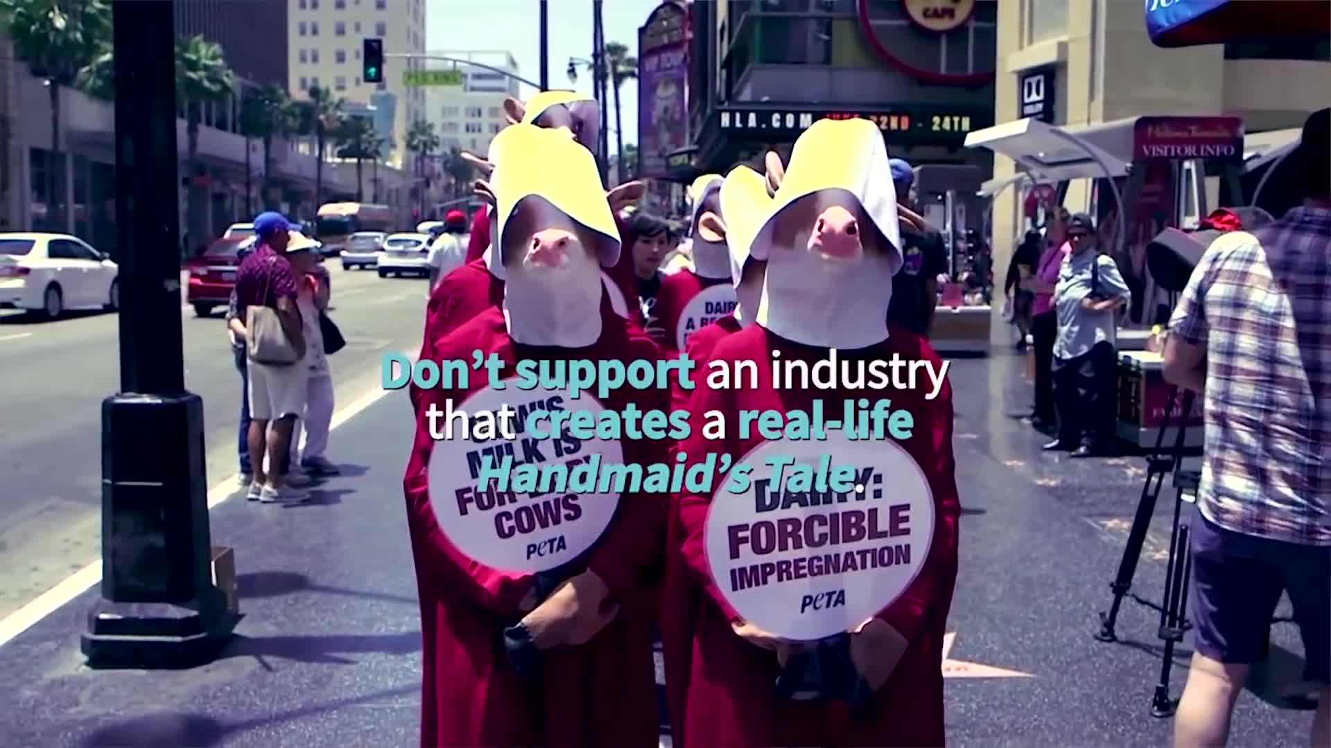 Exploitation of workers in cocoa farms