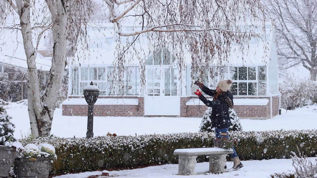 How to Create a Beautiful Wreath Using Garden Foraged Materials