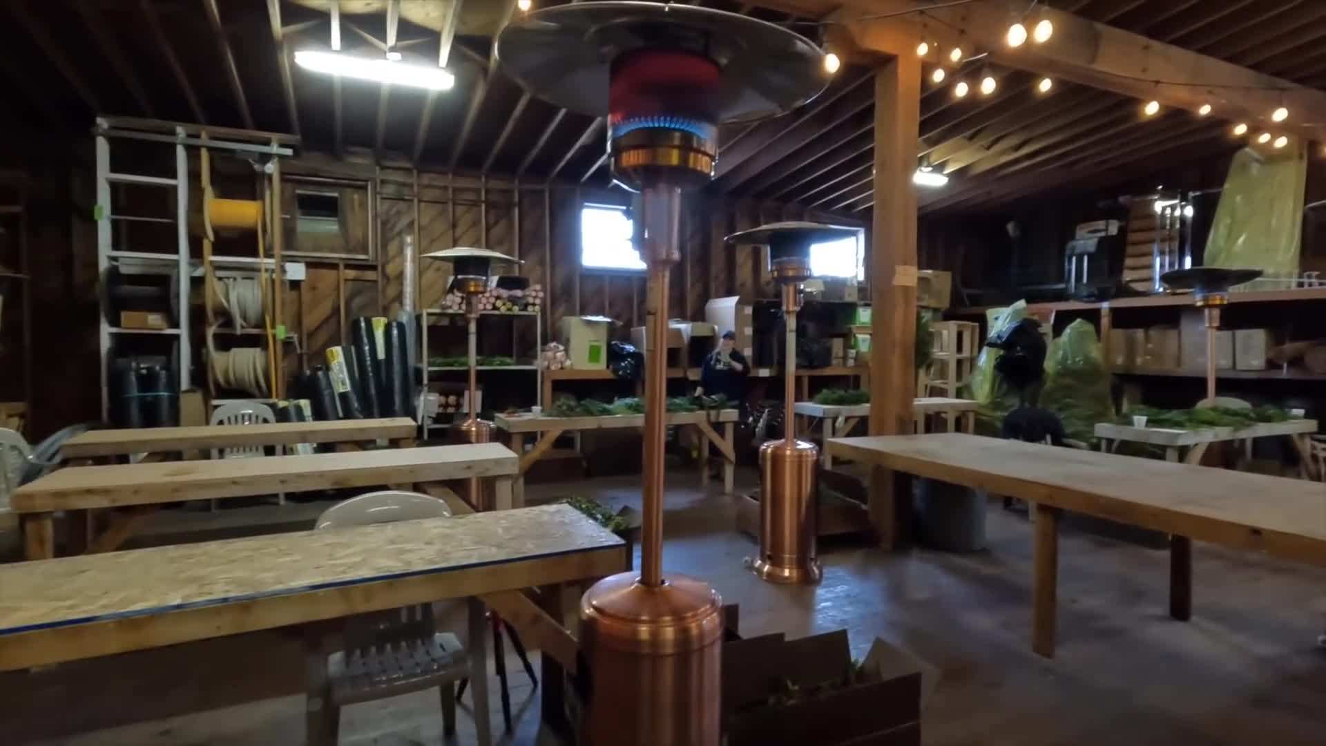 Variety of evergreen branches and seasonal decorations