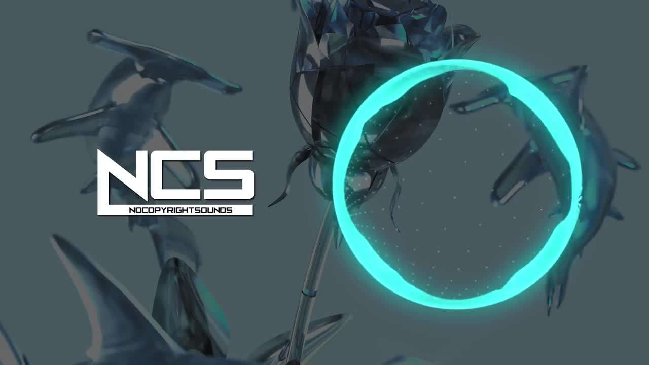 A Majestic Hammerhead Shark